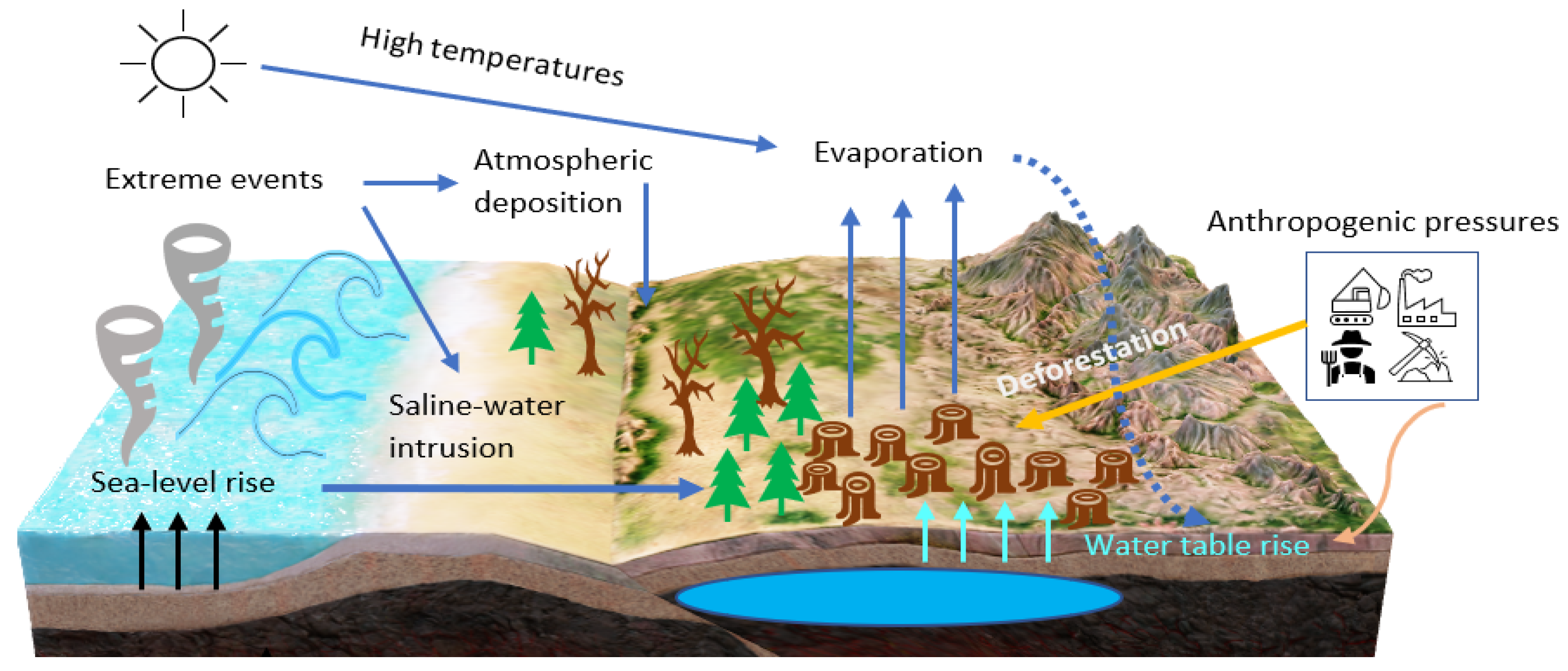Agronomy 10 01321 g001