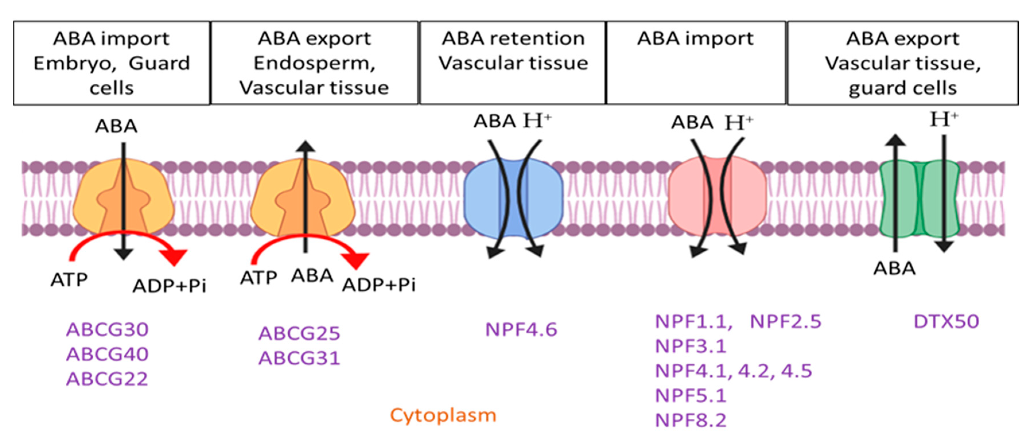 Agronomy 10 01323 g003