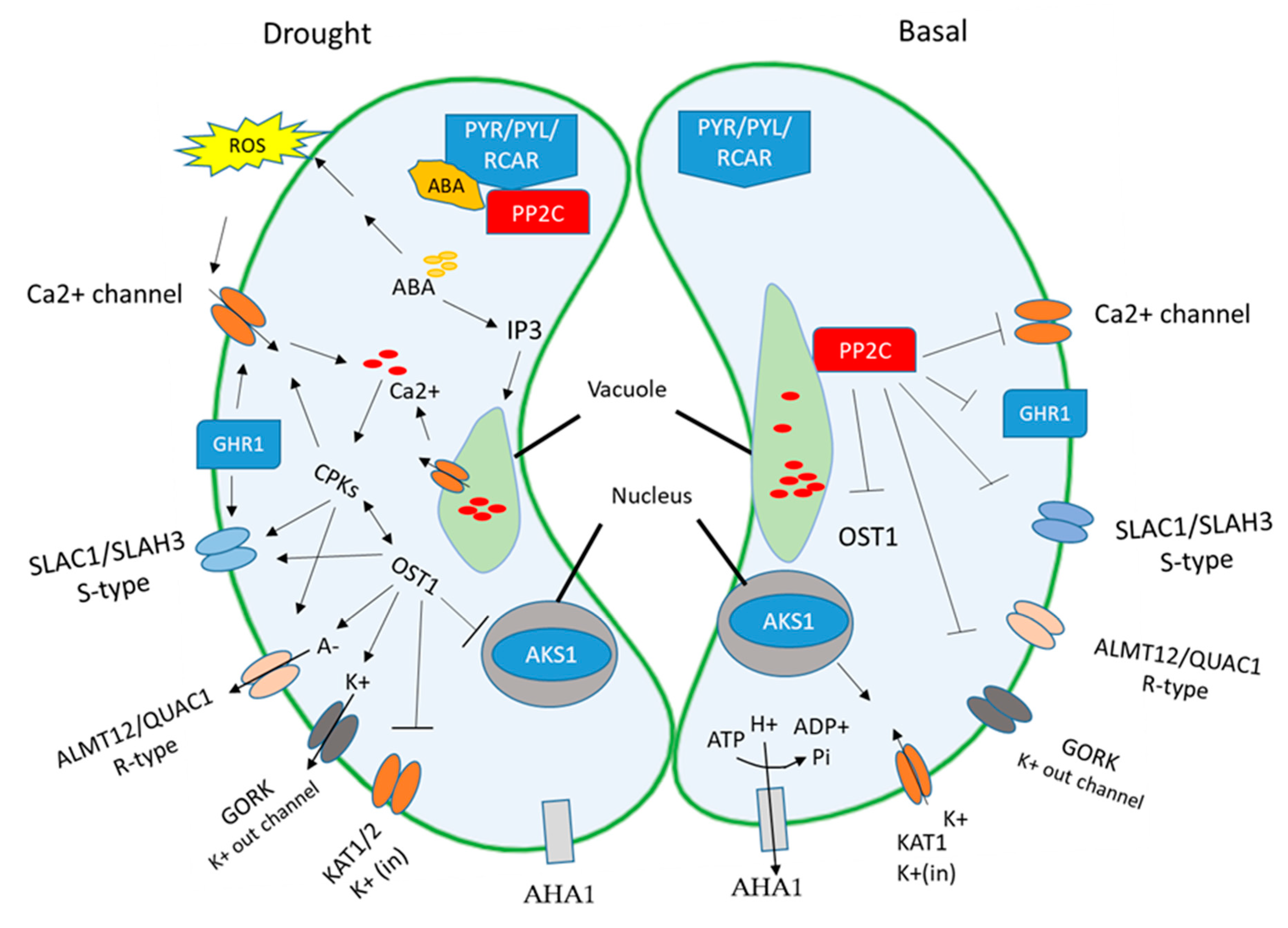 Agronomy 10 01323 g004