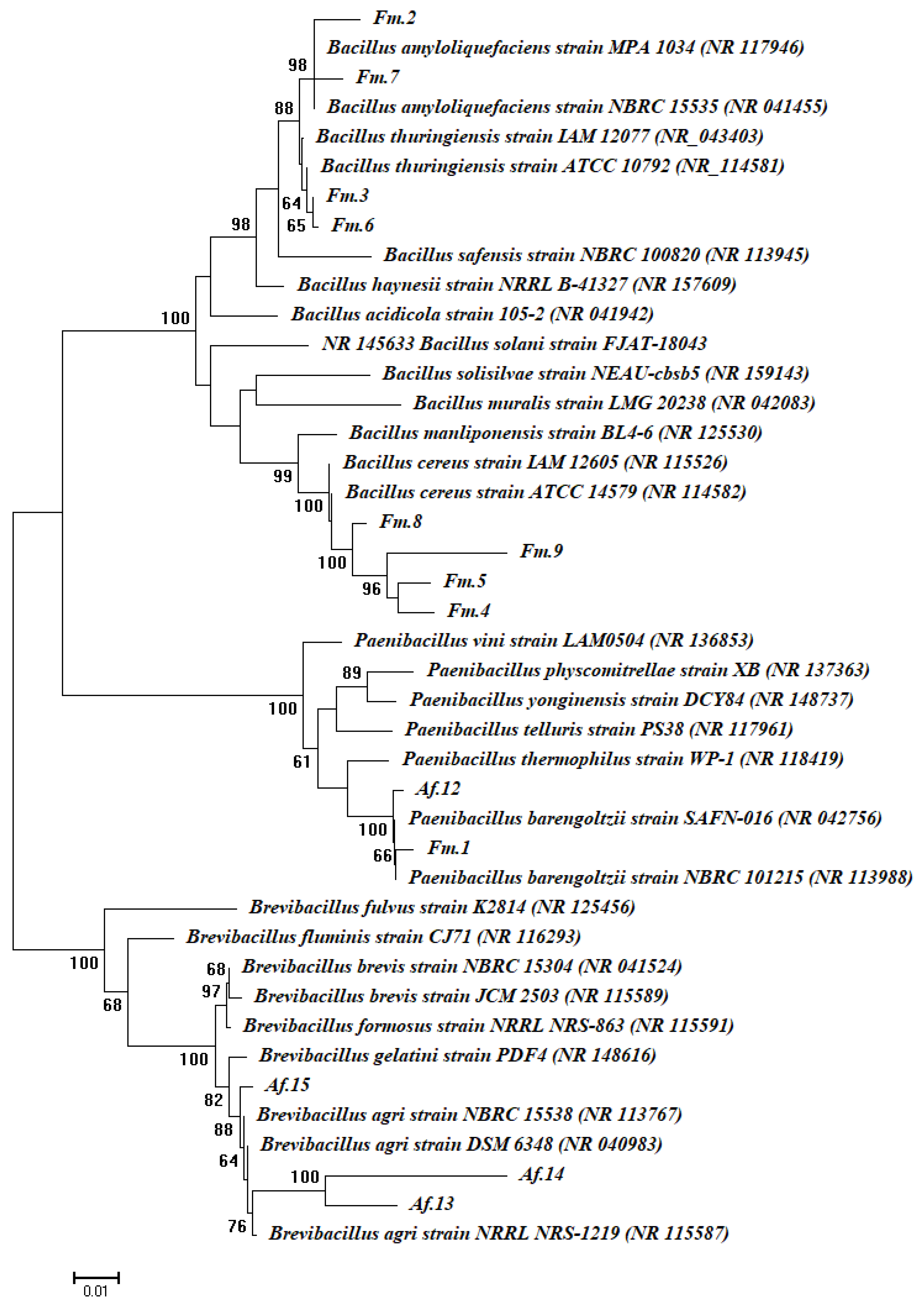 Agronomy 10 01325 g002