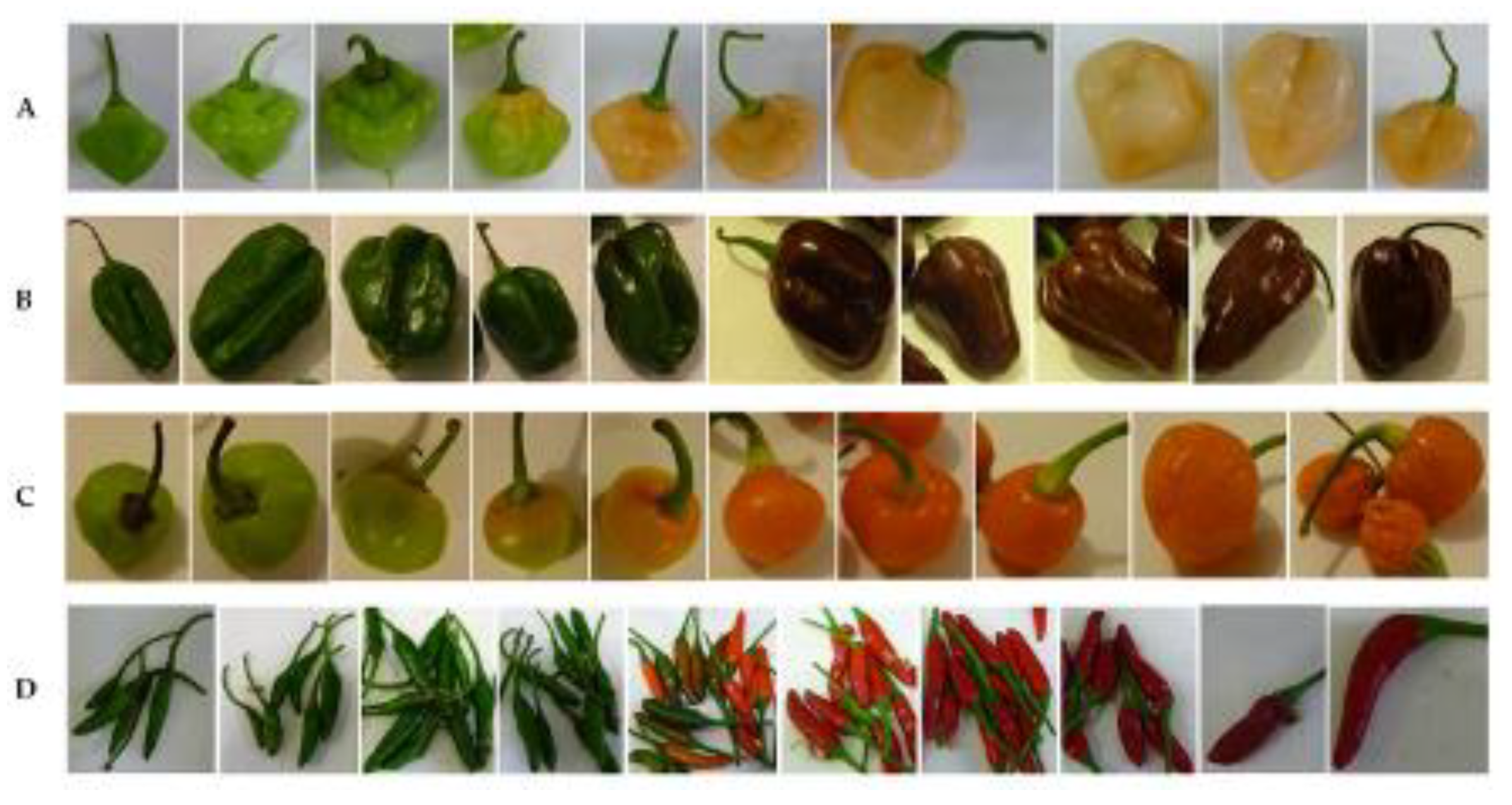 Agronomy 10 01337 g002