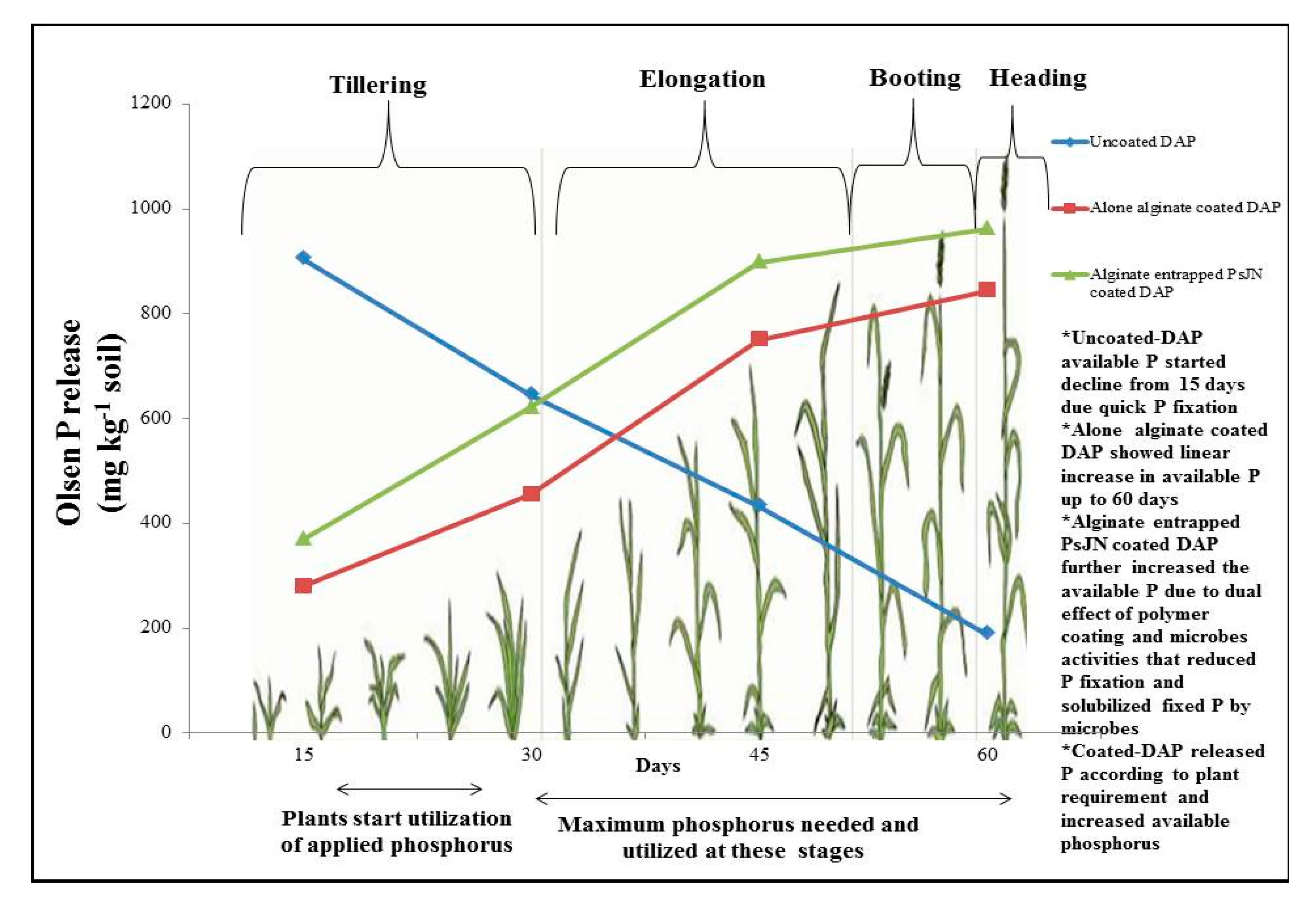 Agronomy 10 01344 g004