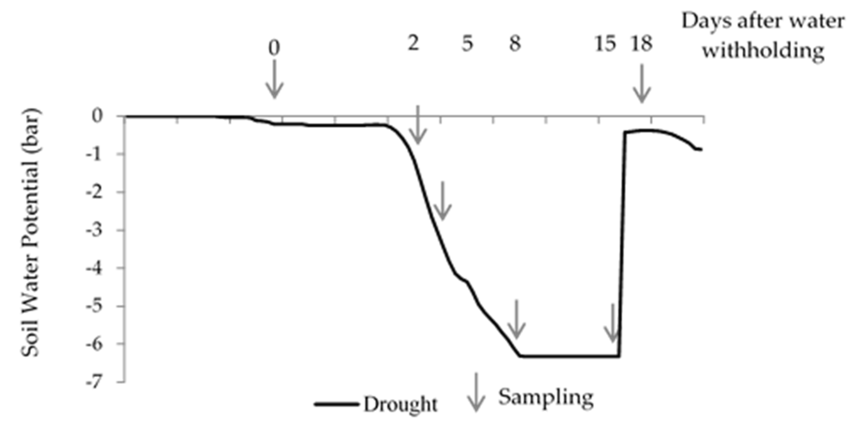 Agronomy 10 01351 g002