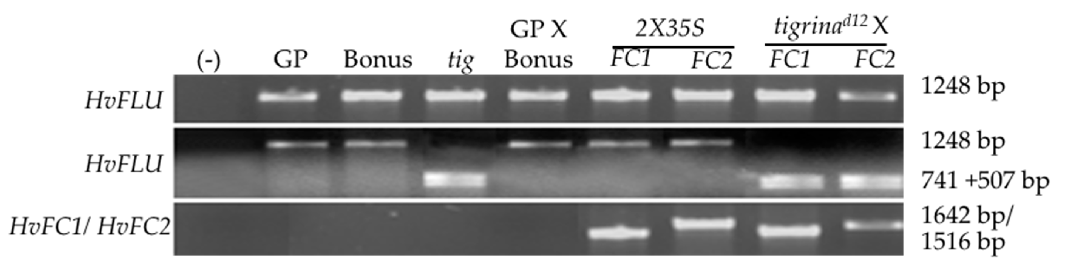 Agronomy 10 01351 g006