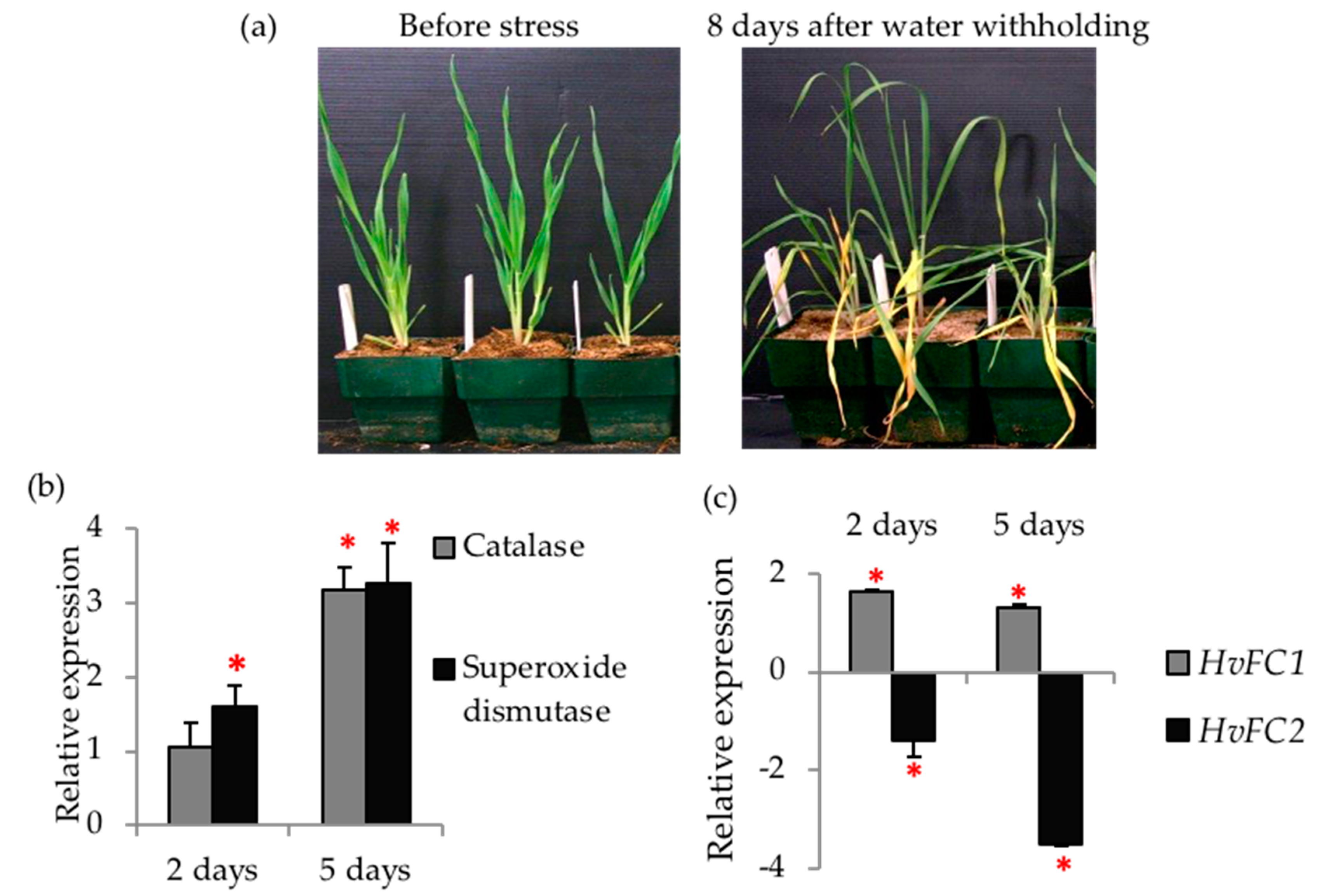 Agronomy 10 01351 g008