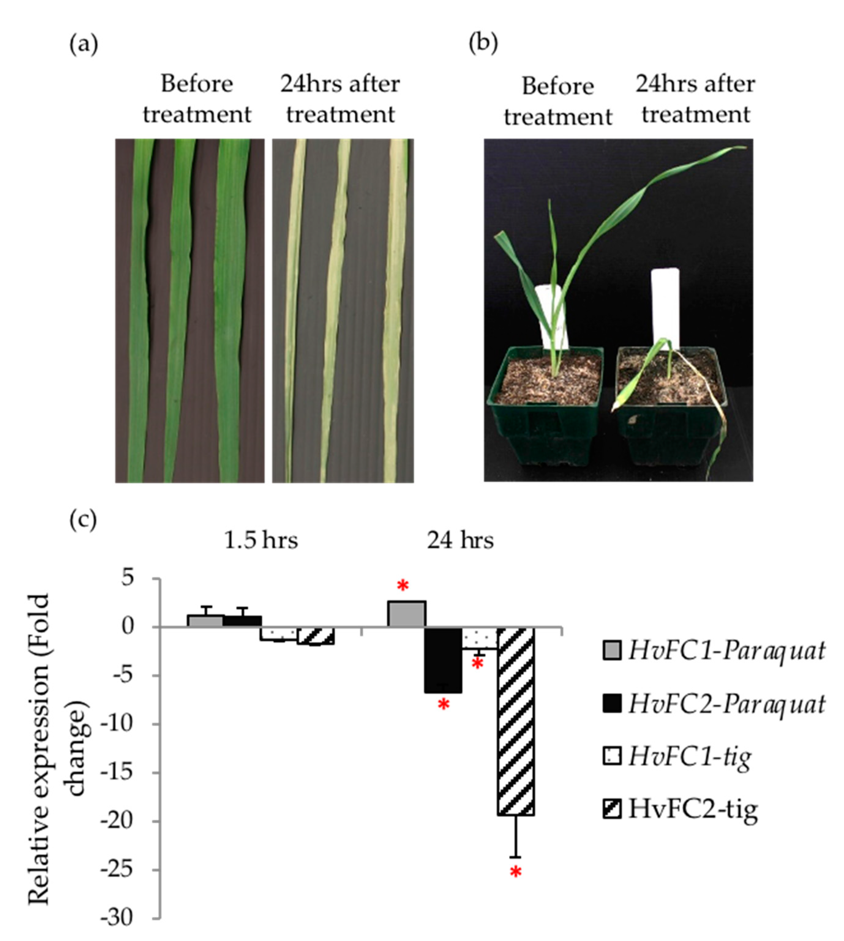 Agronomy 10 01351 g009