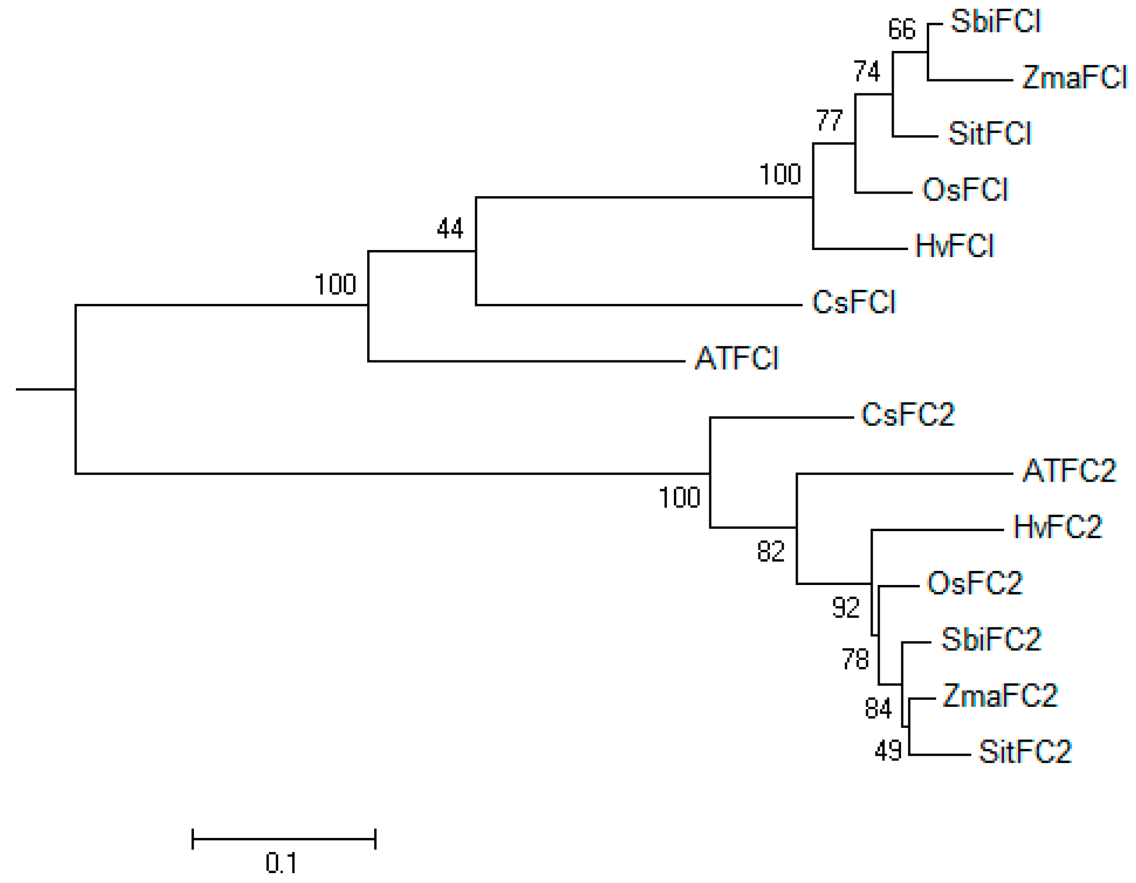 Agronomy 10 01370 g002