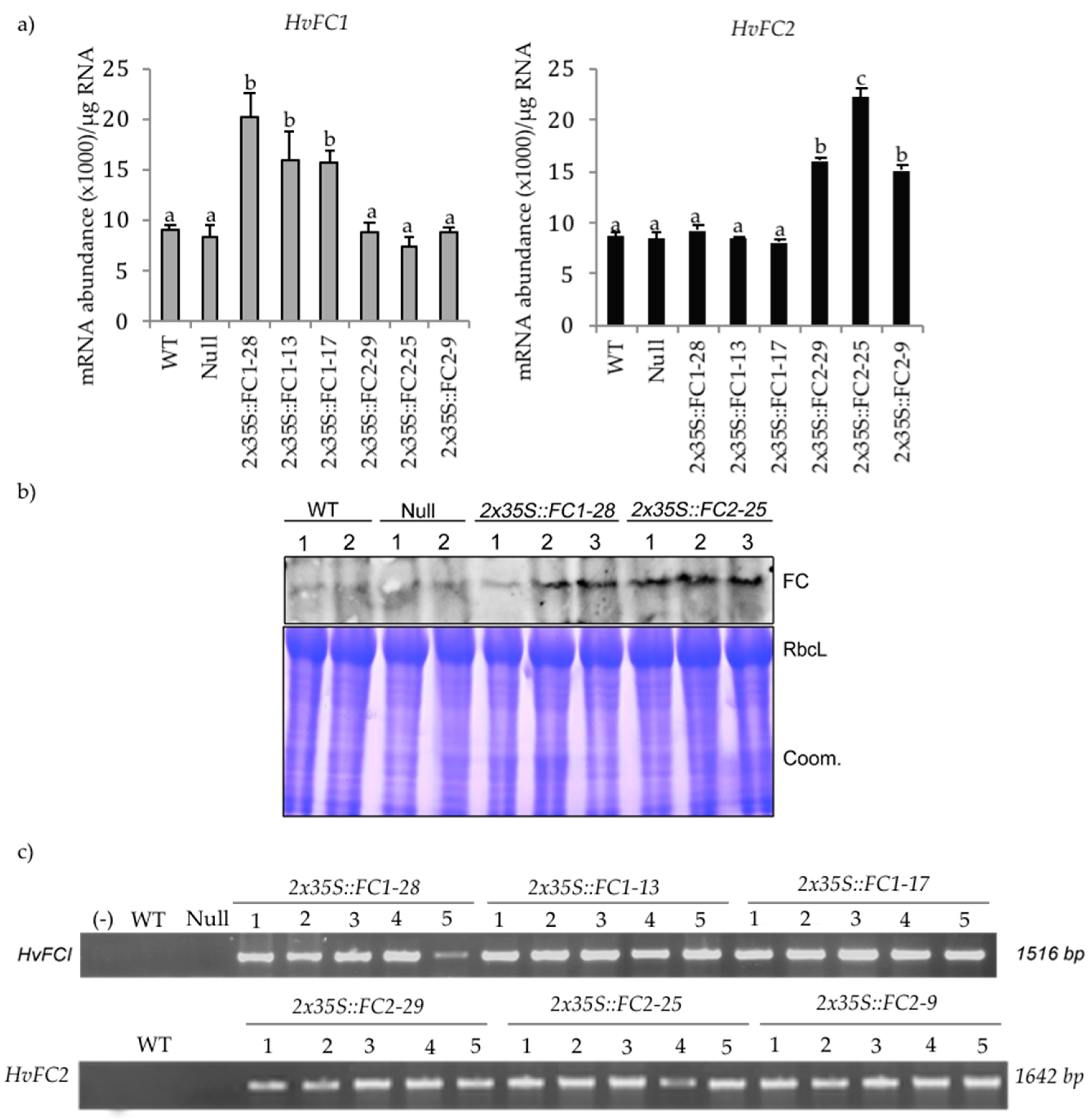 Agronomy 10 01370 g005