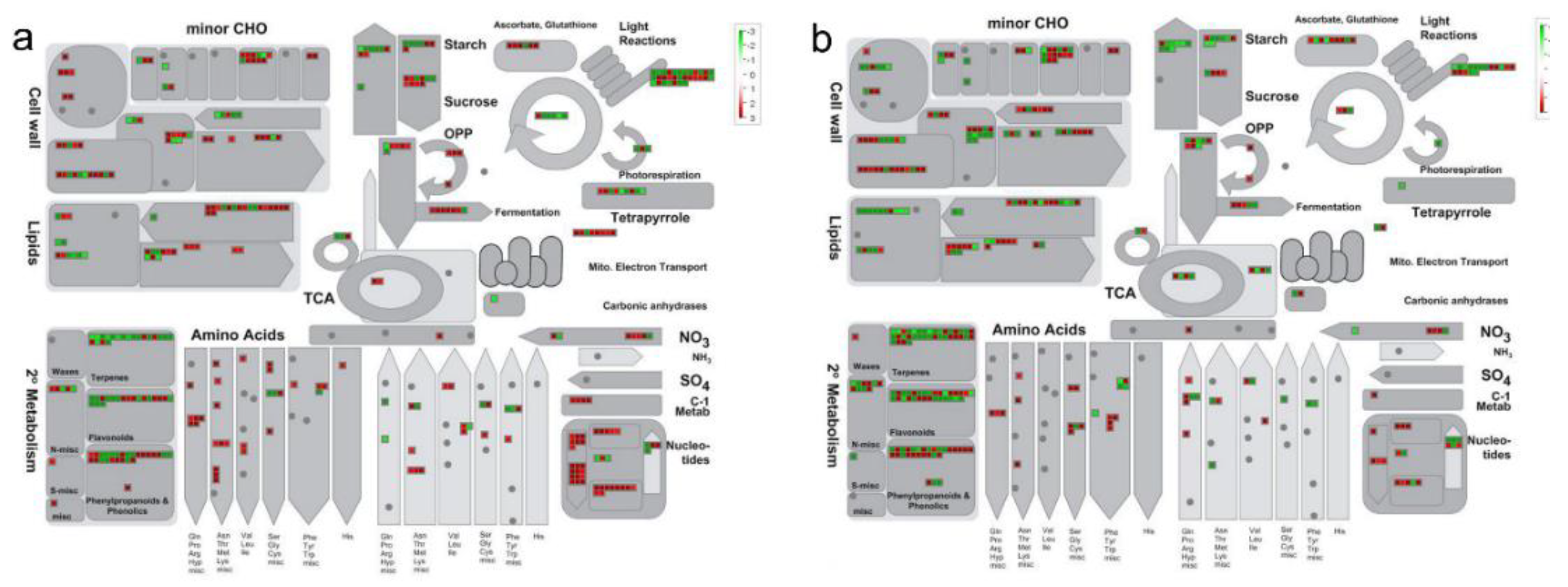 Agronomy 10 01381 g004