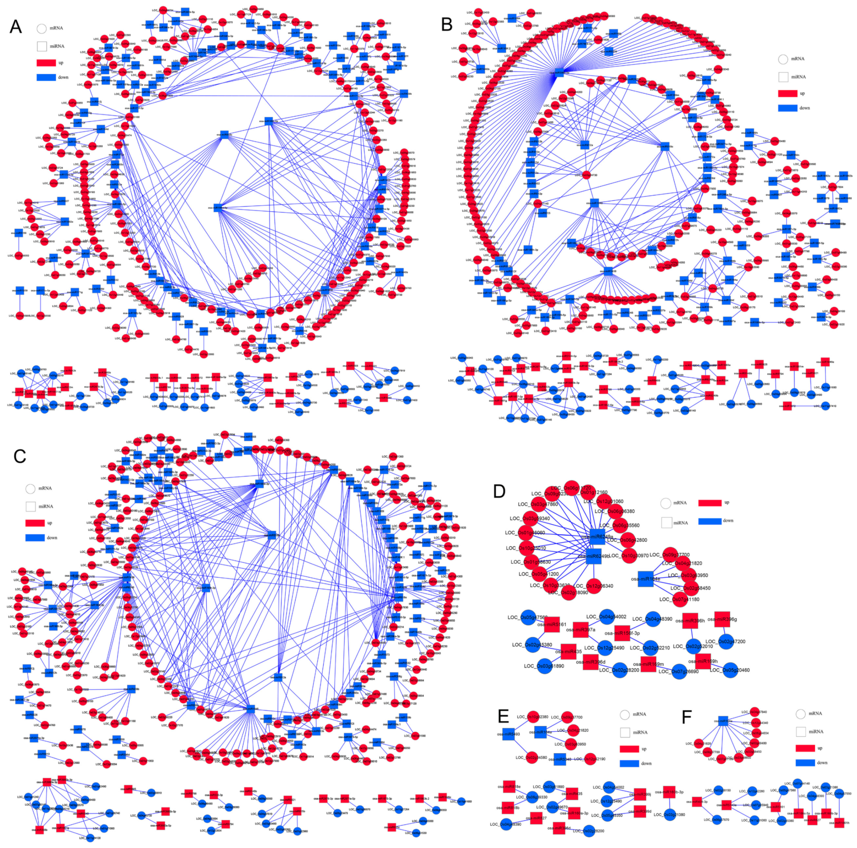 Agronomy 10 01381 g007