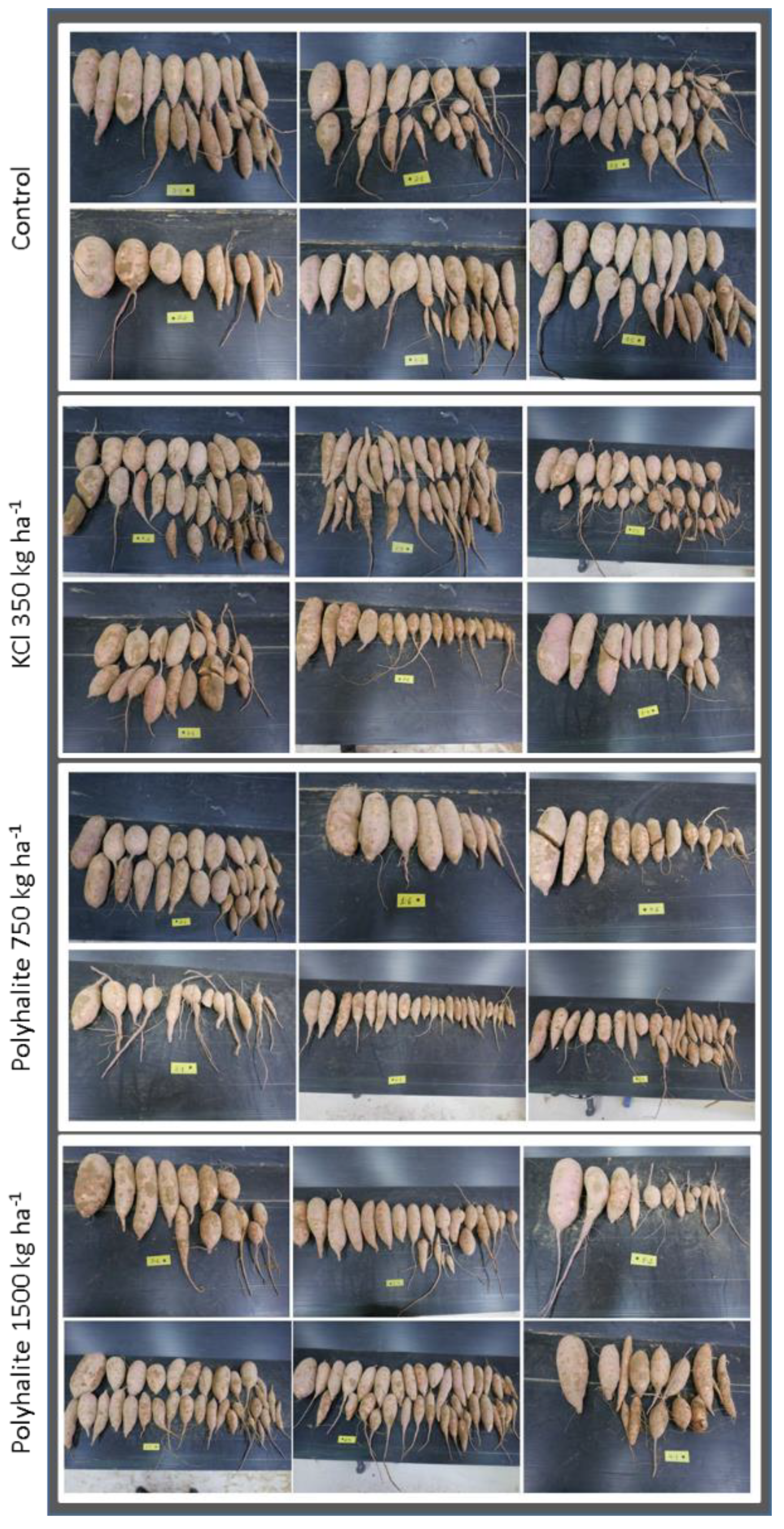 Agronomy 10 01385 g001 Agronomy 10 01385 g001