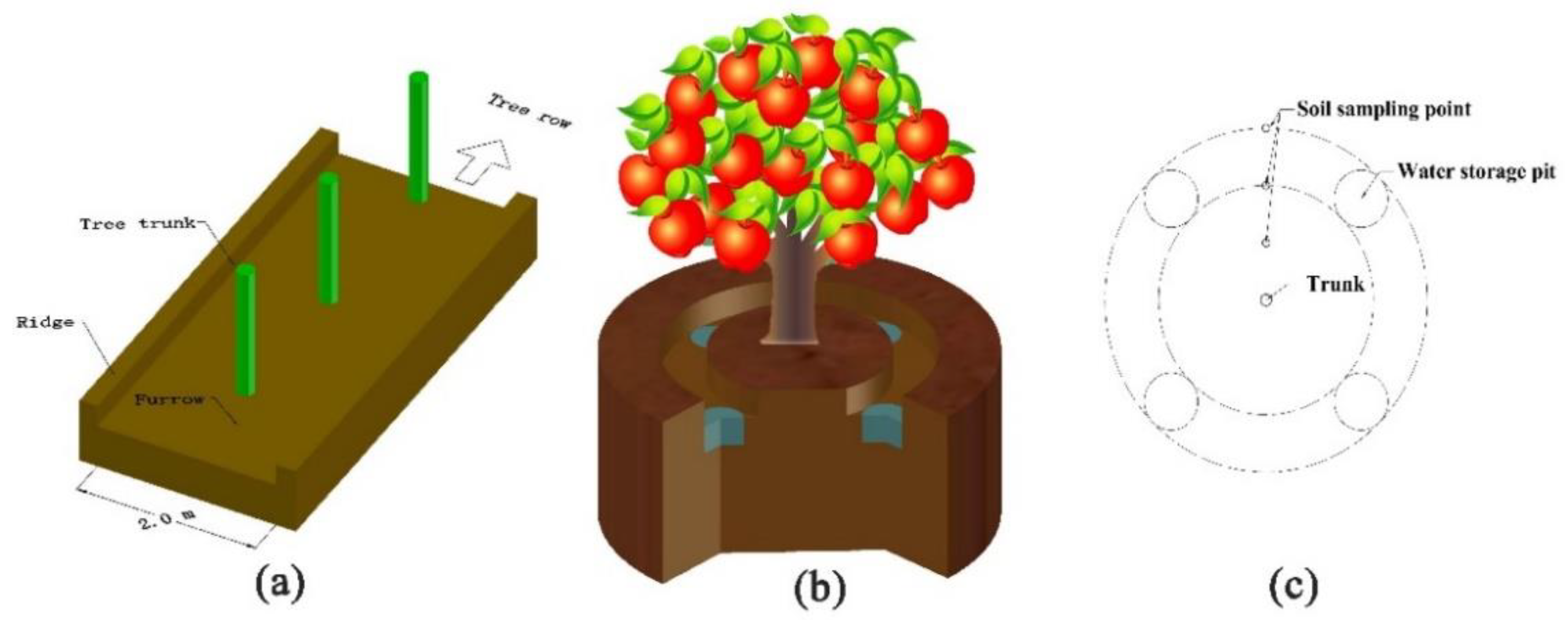 Agronomy 10 01386 g002 Agronomy 10 01386 g002
