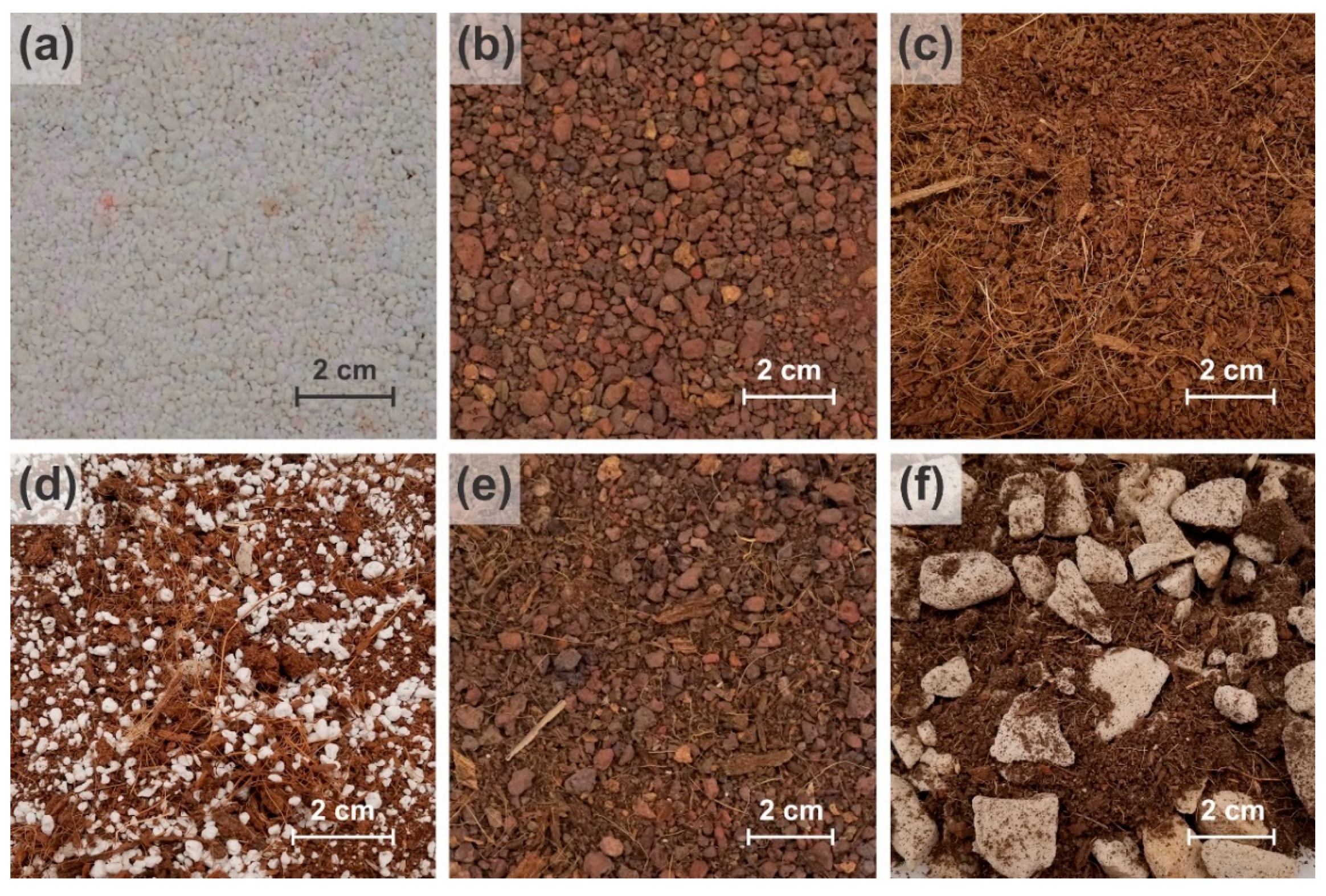 Agronomy 10 01403 g001