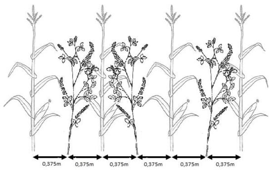 Agronomy 10 01407 g0a1