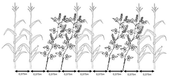 Agronomy 10 01407 g0a2