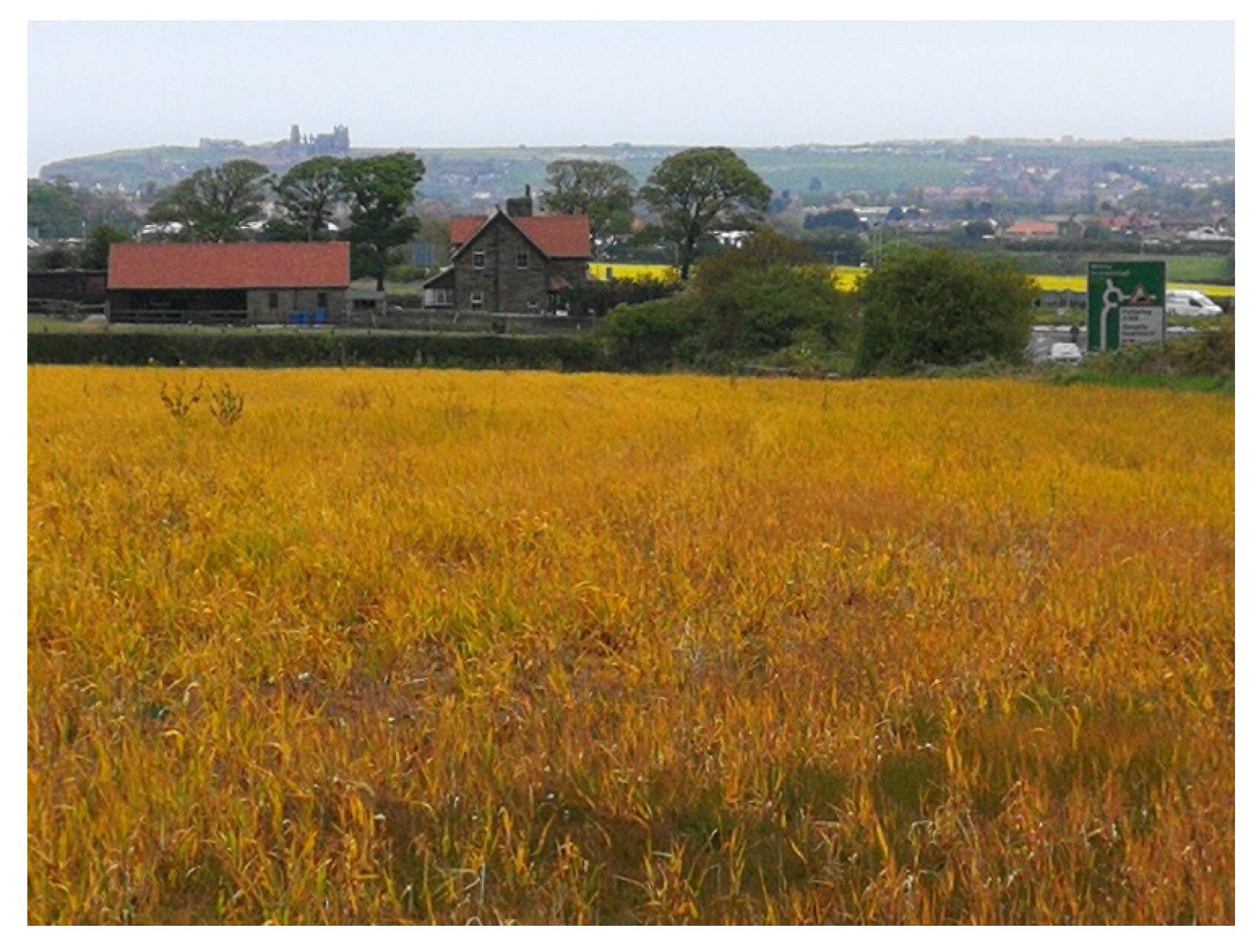 Agronomy 10 01409 g001 Agronomy 10 01409 g001