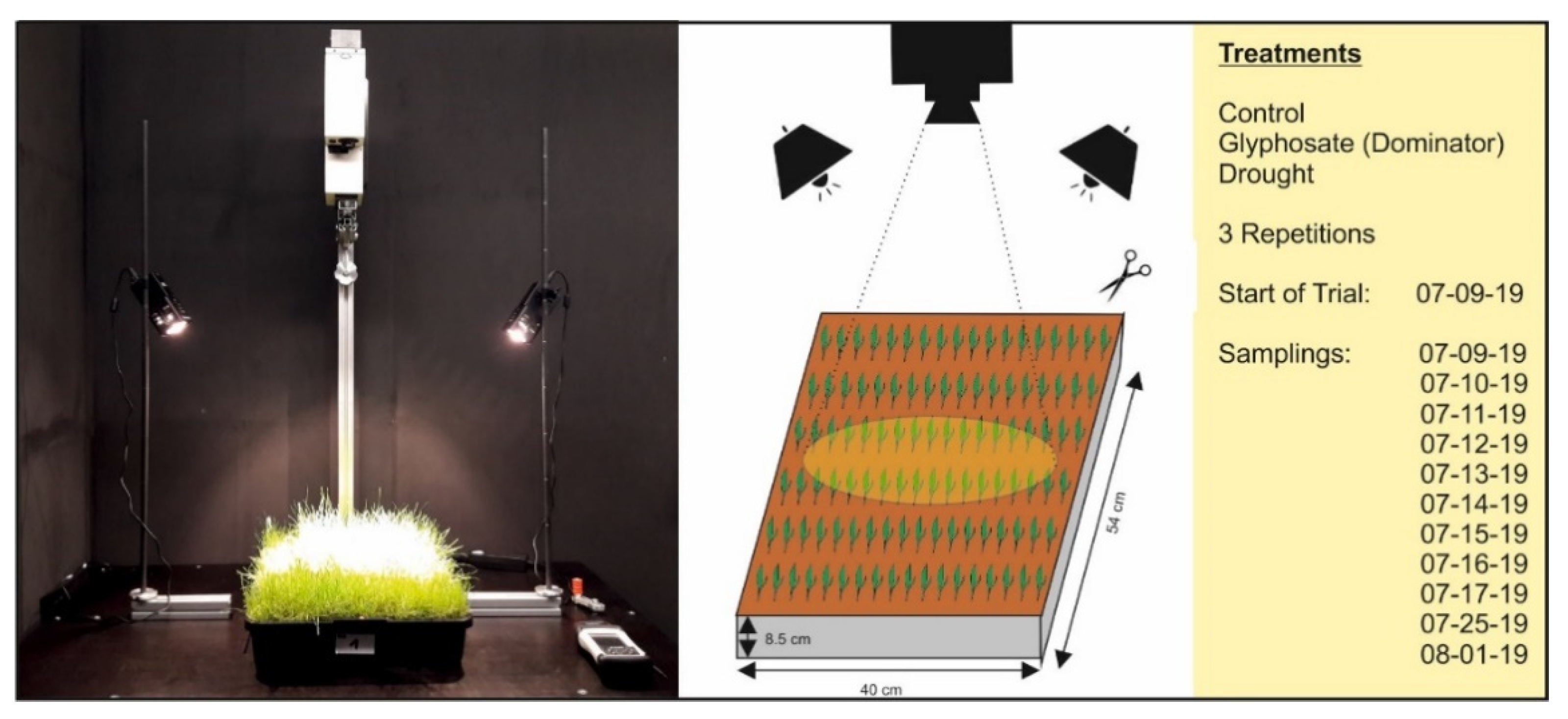 Agronomy 10 01409 g002 Agronomy 10 01409 g002