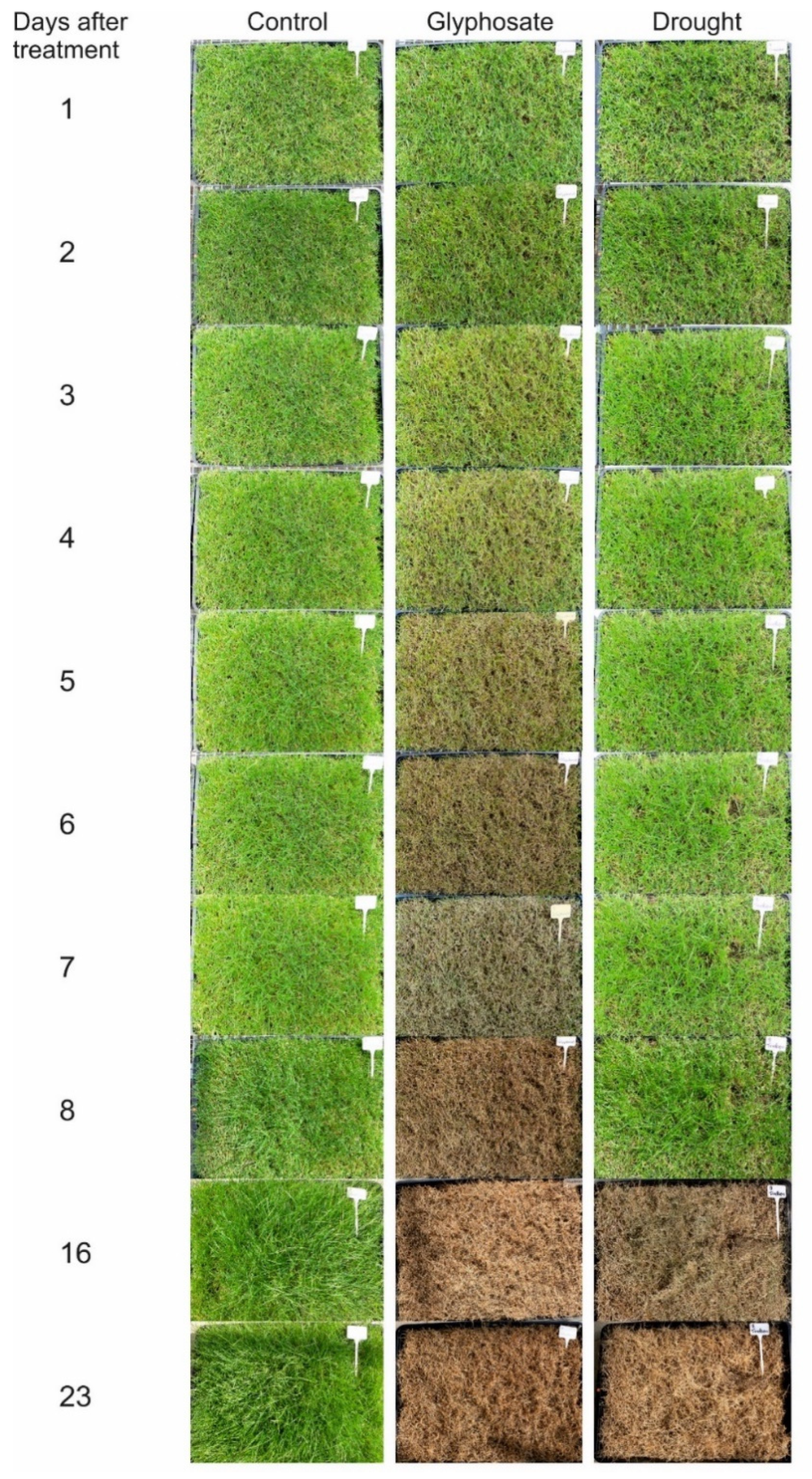 Agronomy 10 01409 g003 Agronomy 10 01409 g003