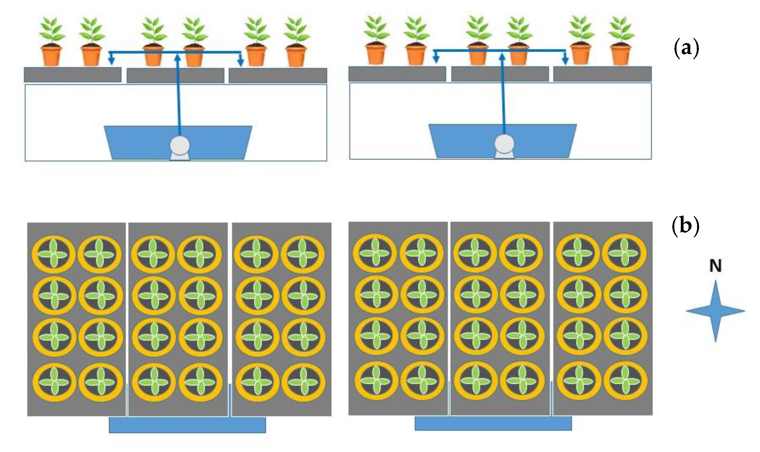 Agronomy 10 01414 g002