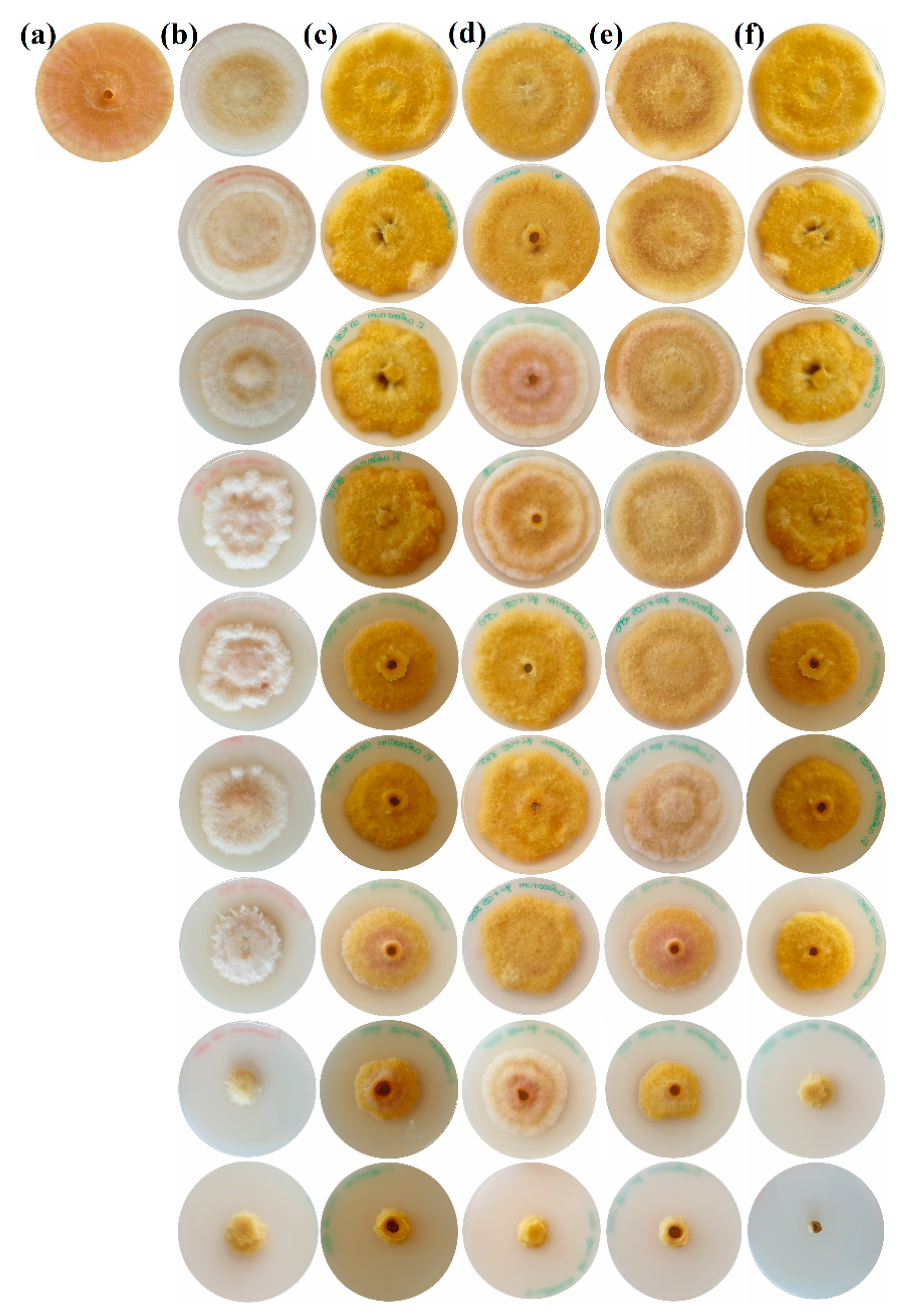 Agronomy 10 01427 g002