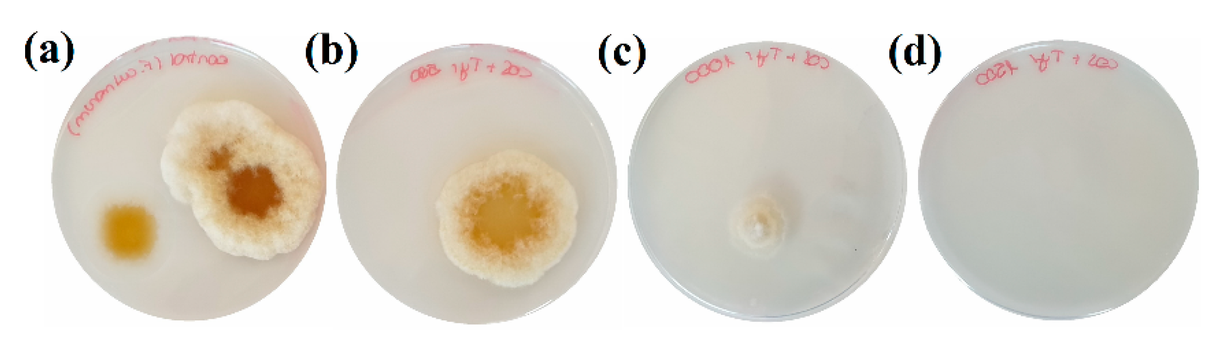 Agronomy 10 01427 g003