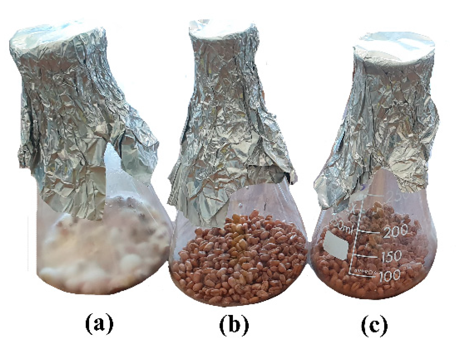 Agronomy 10 01427 g004