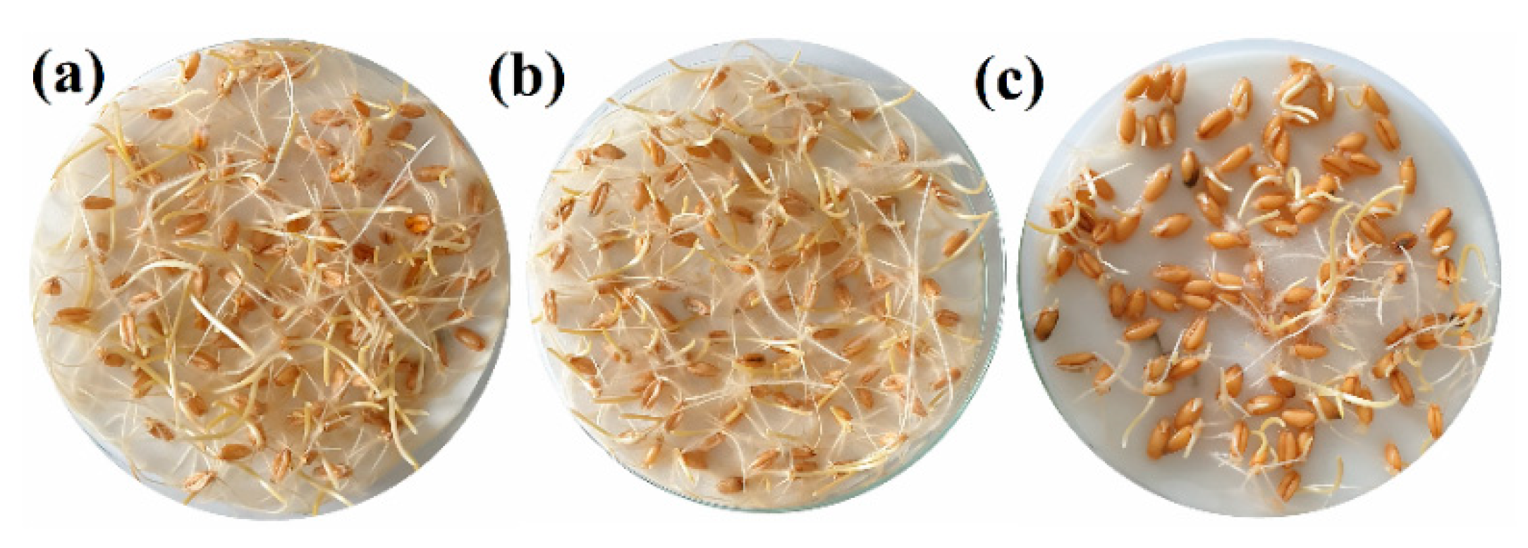 Agronomy 10 01427 g005