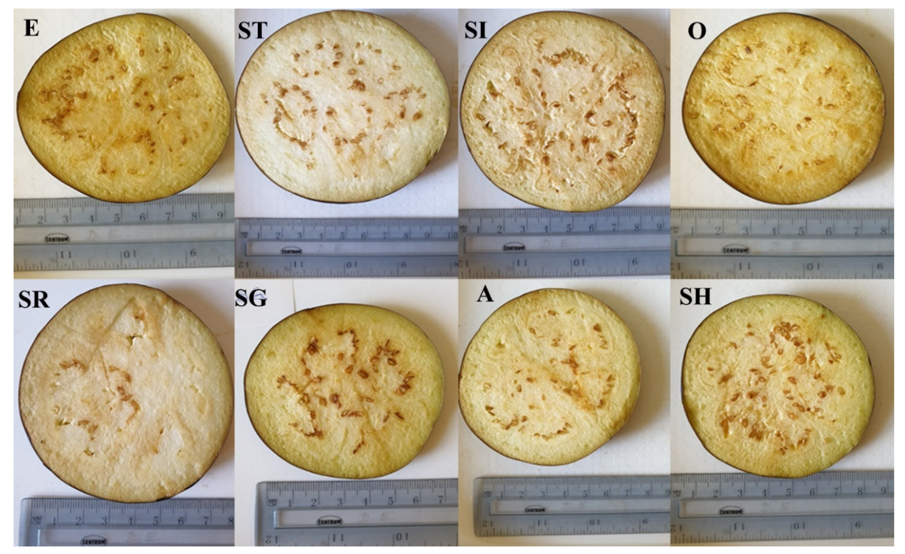 Agronomy 10 01442 g002