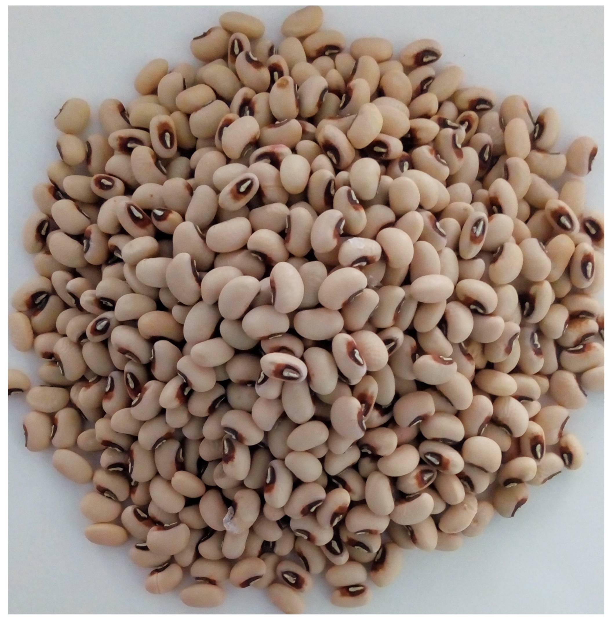 Agronomy 10 01460 g002