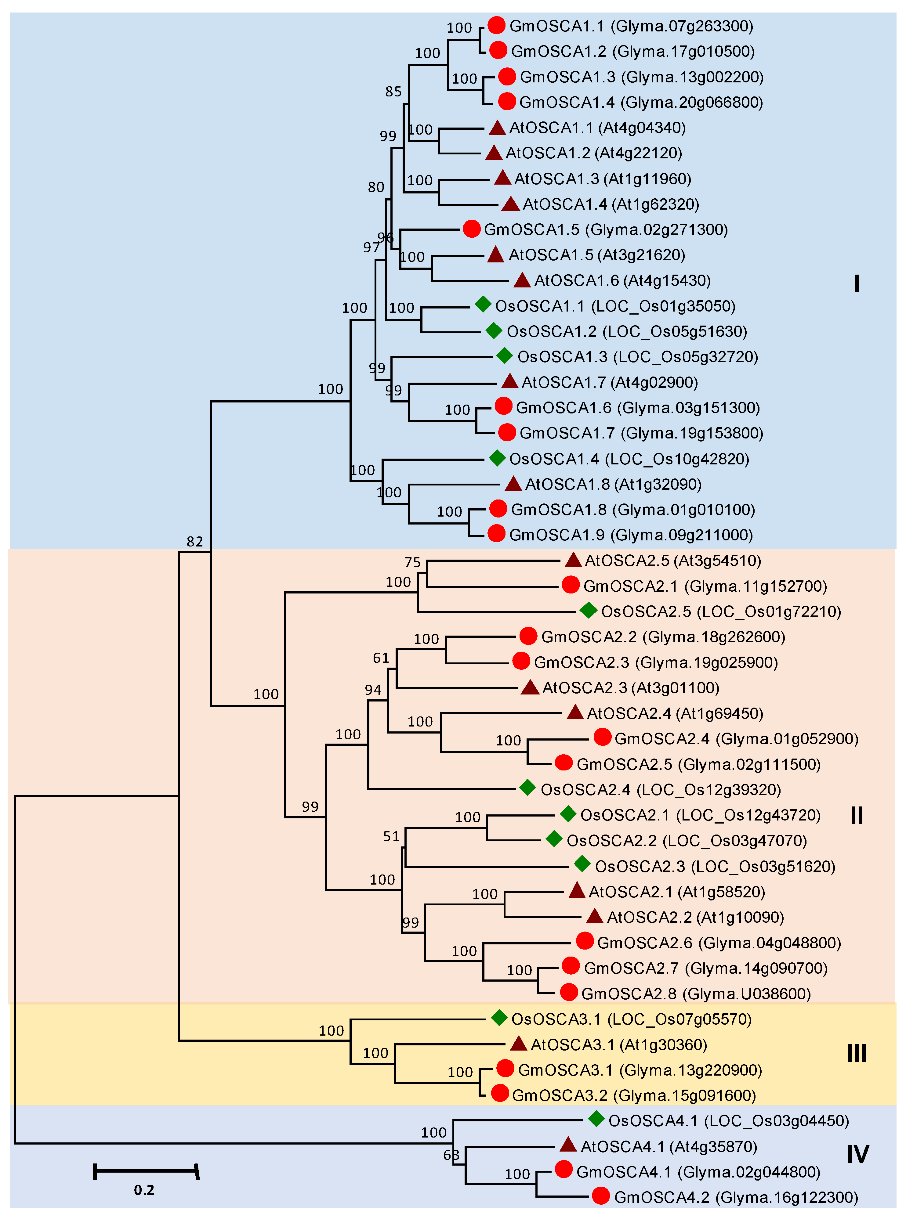 Agronomy 10 01539 g005