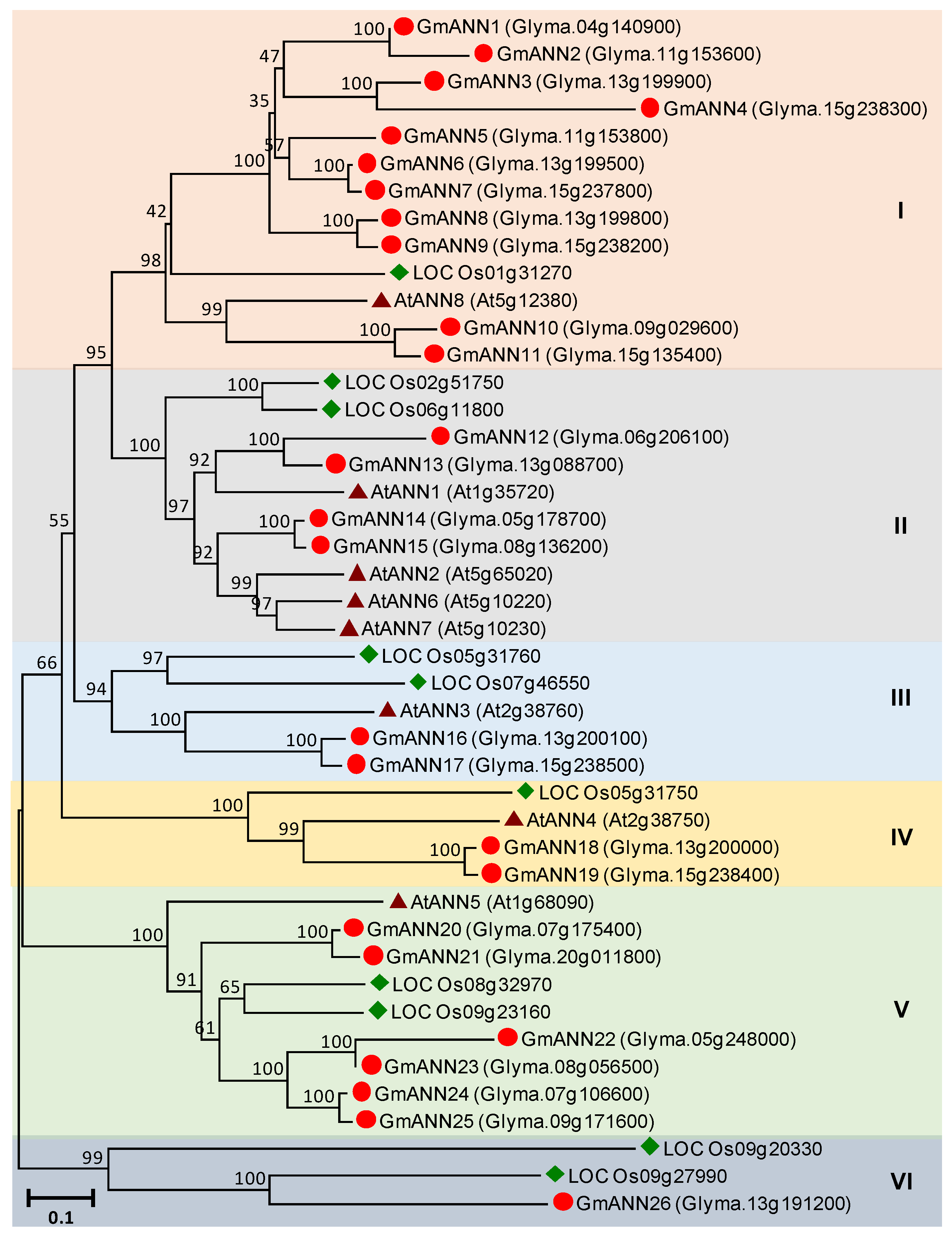 Agronomy 10 01539 g007