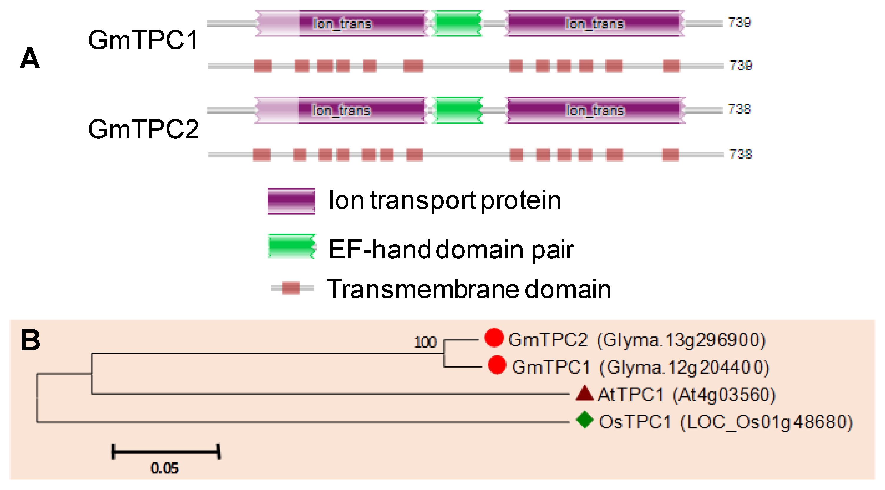 Agronomy 10 01539 g008