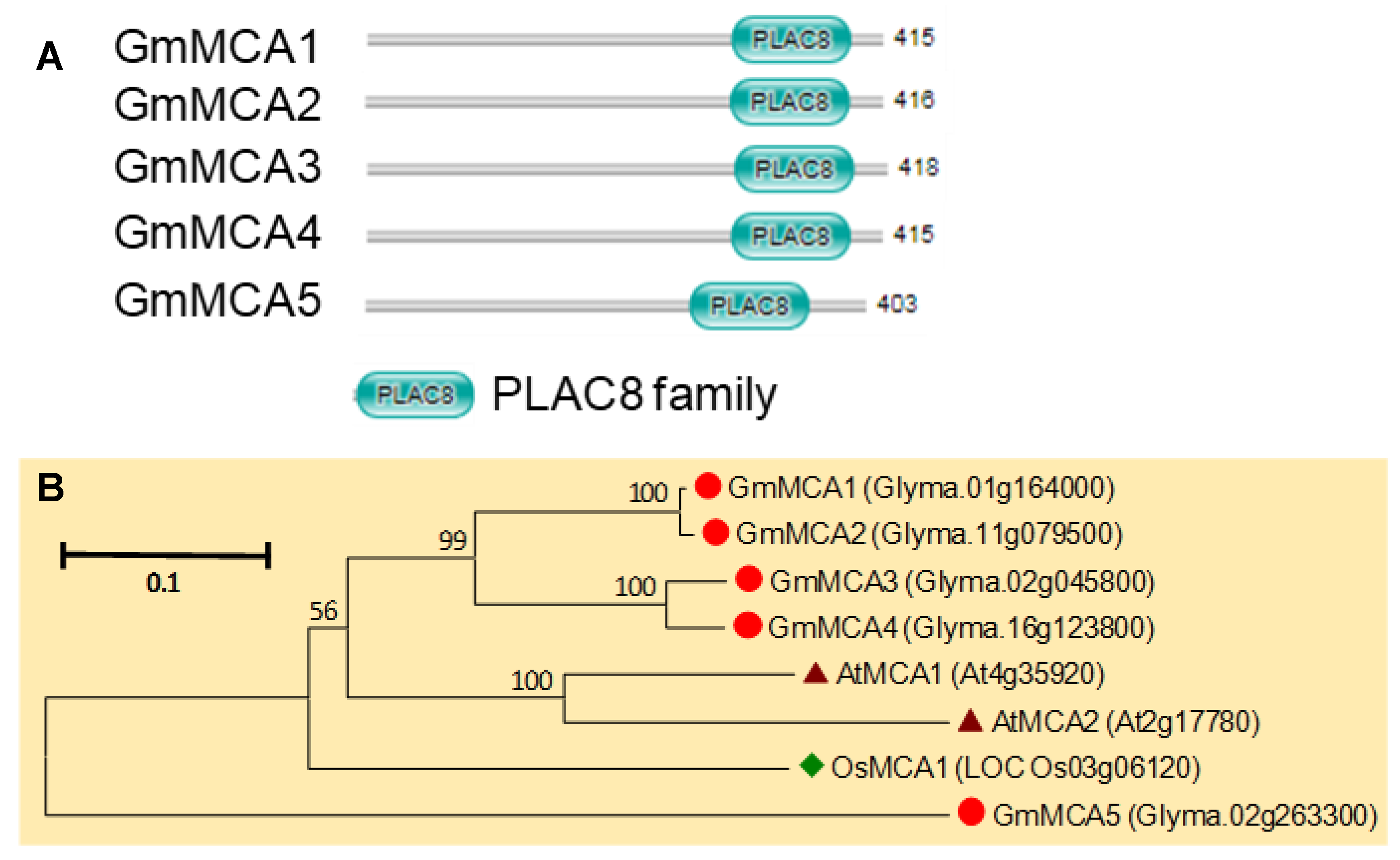 Agronomy 10 01539 g010