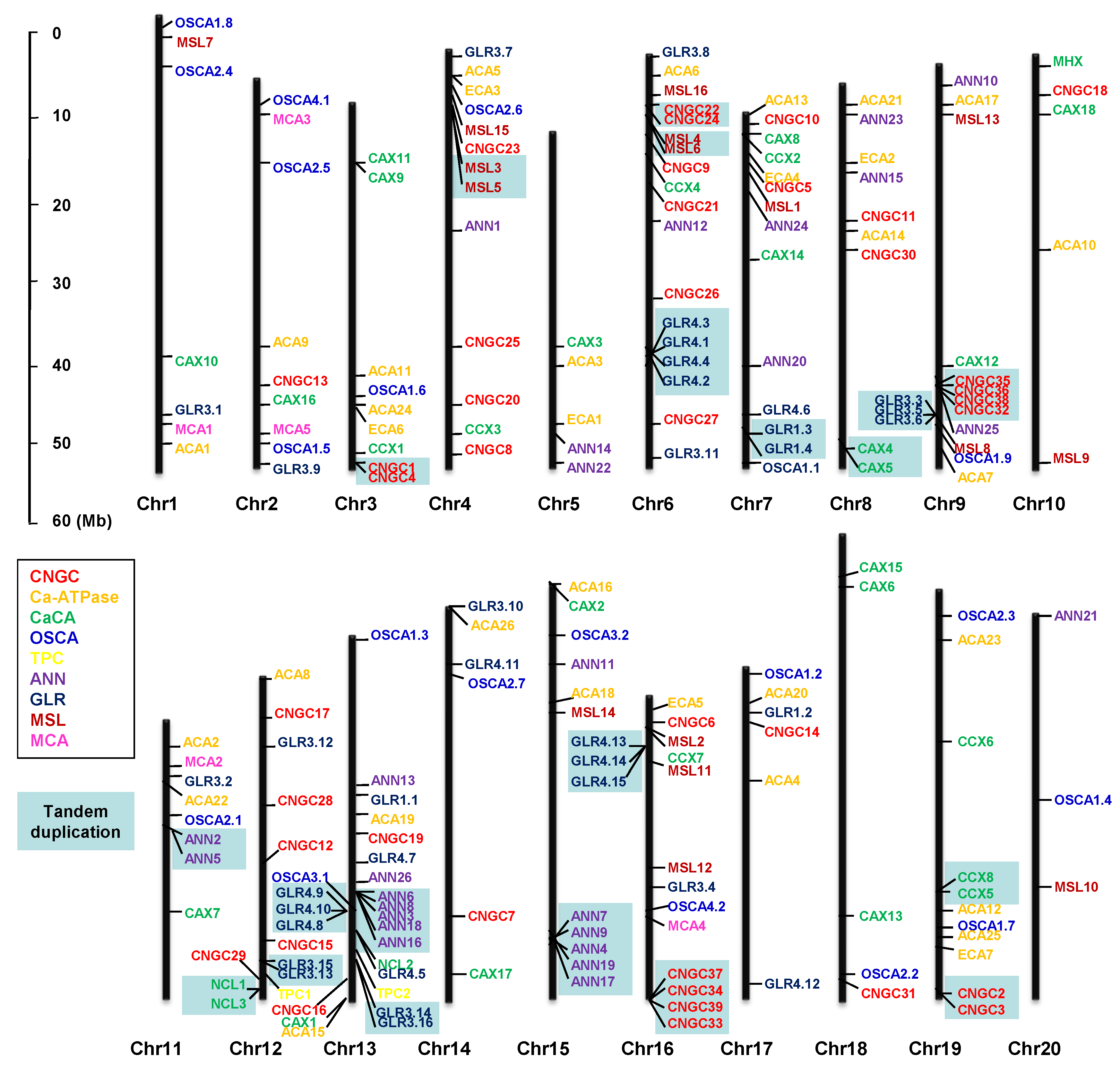 Agronomy 10 01539 g011