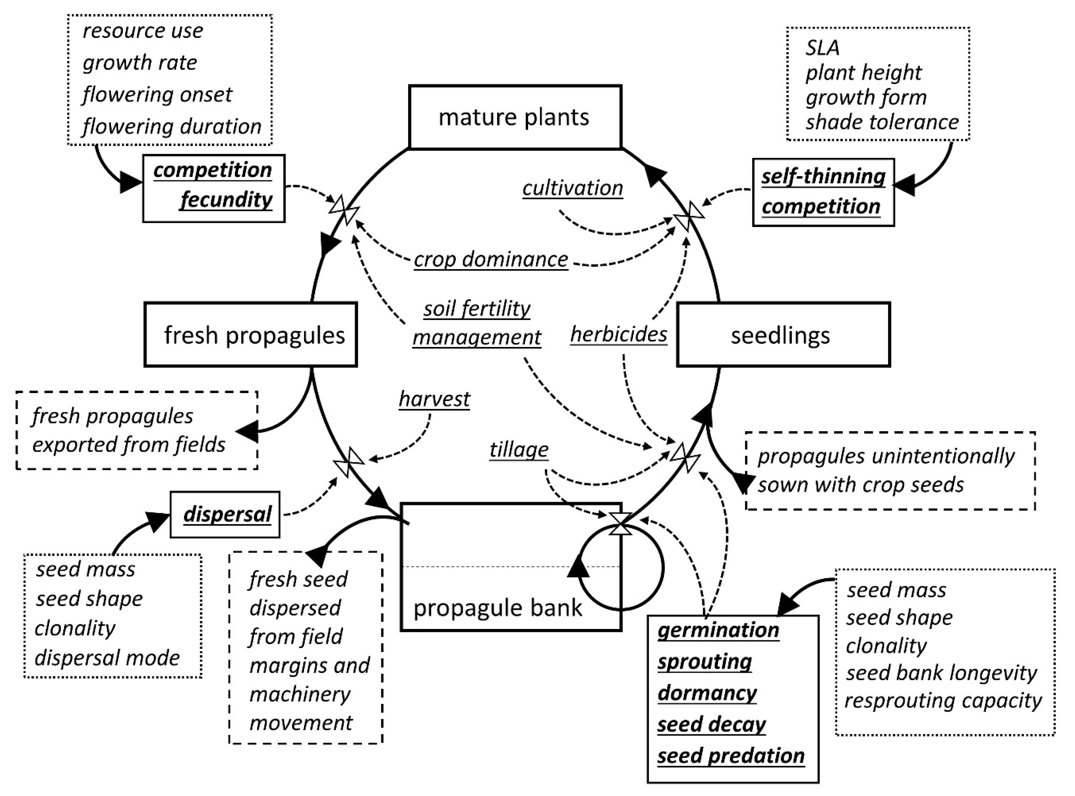 Agronomy 10 01611 g002