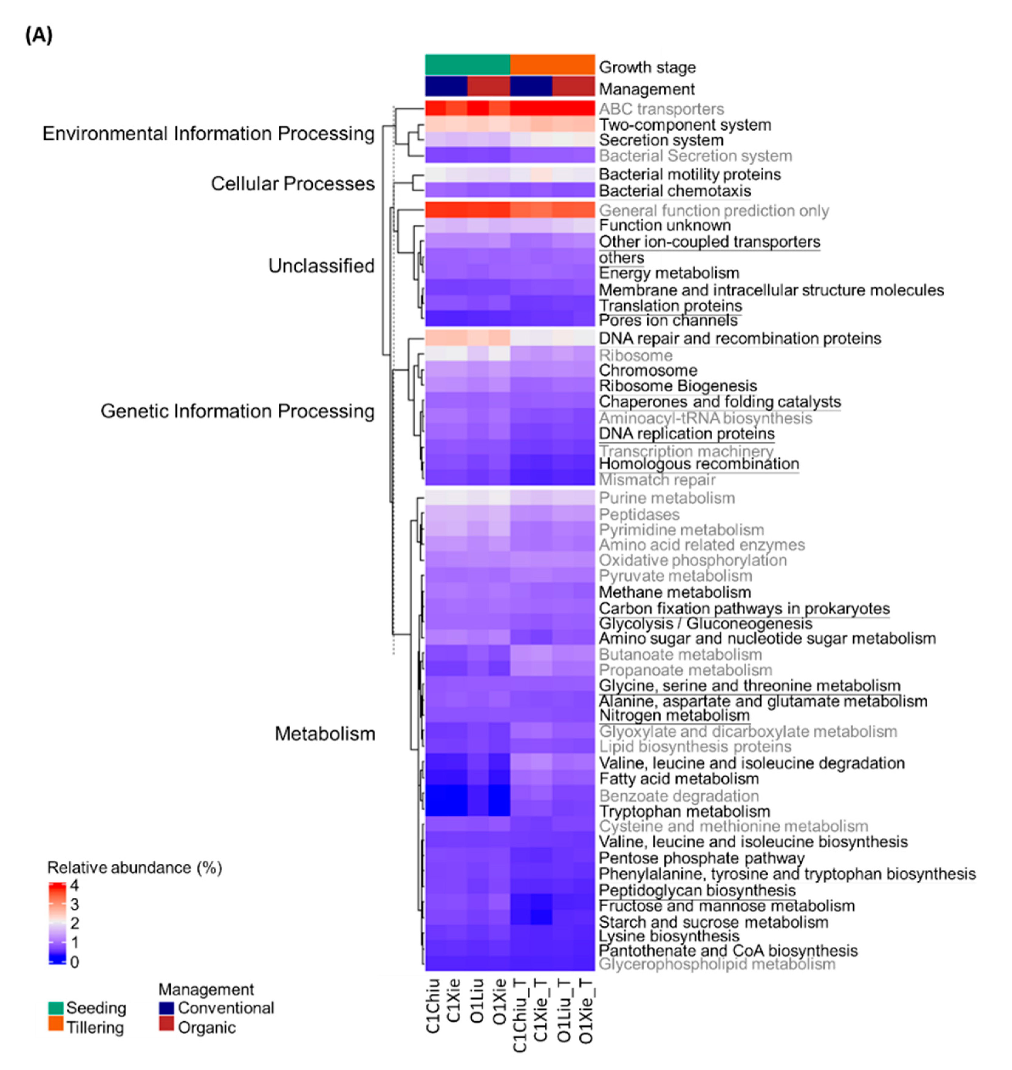Agronomy 10 01623 g008a