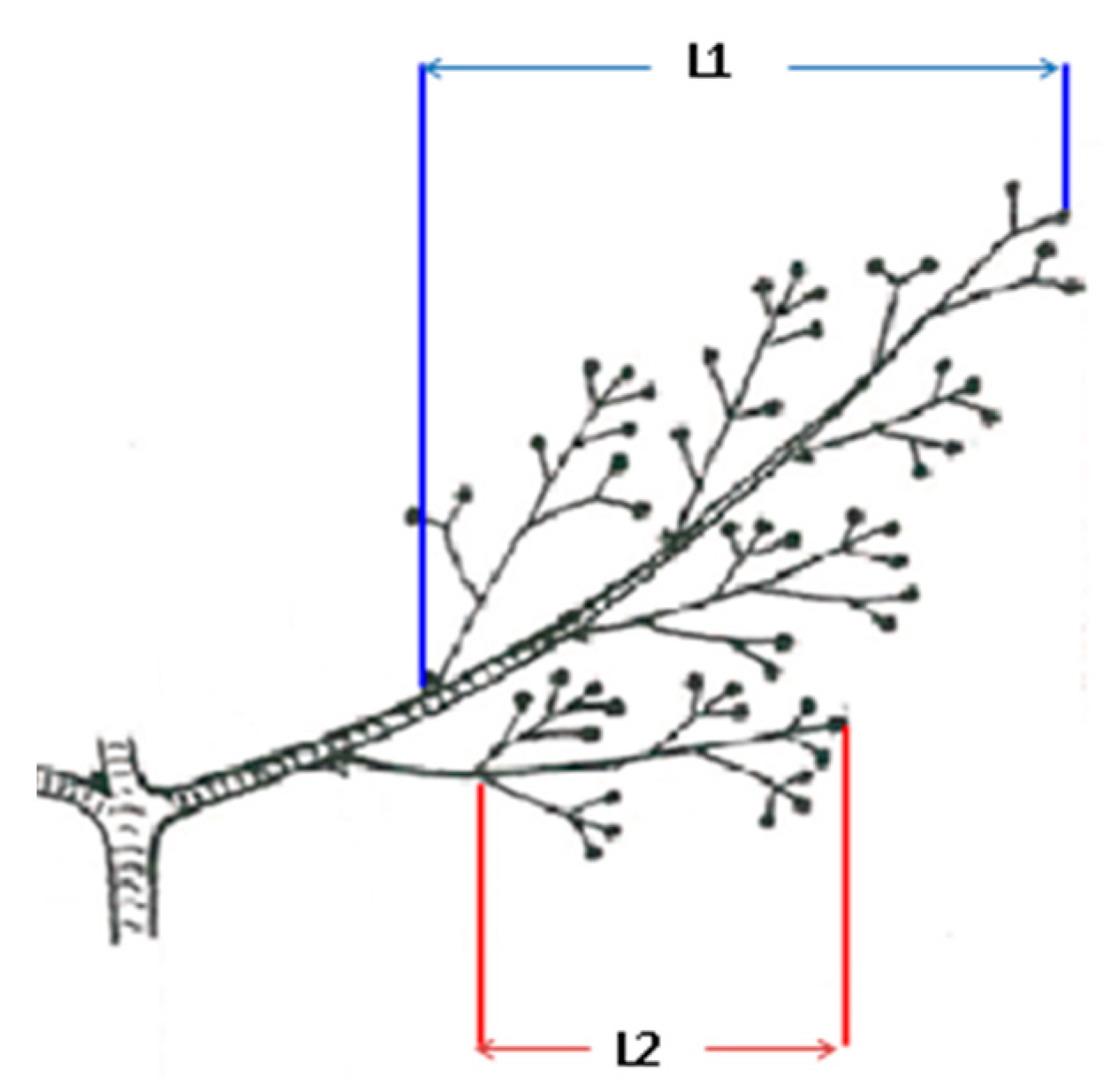 Agronomy 10 01626 g003
