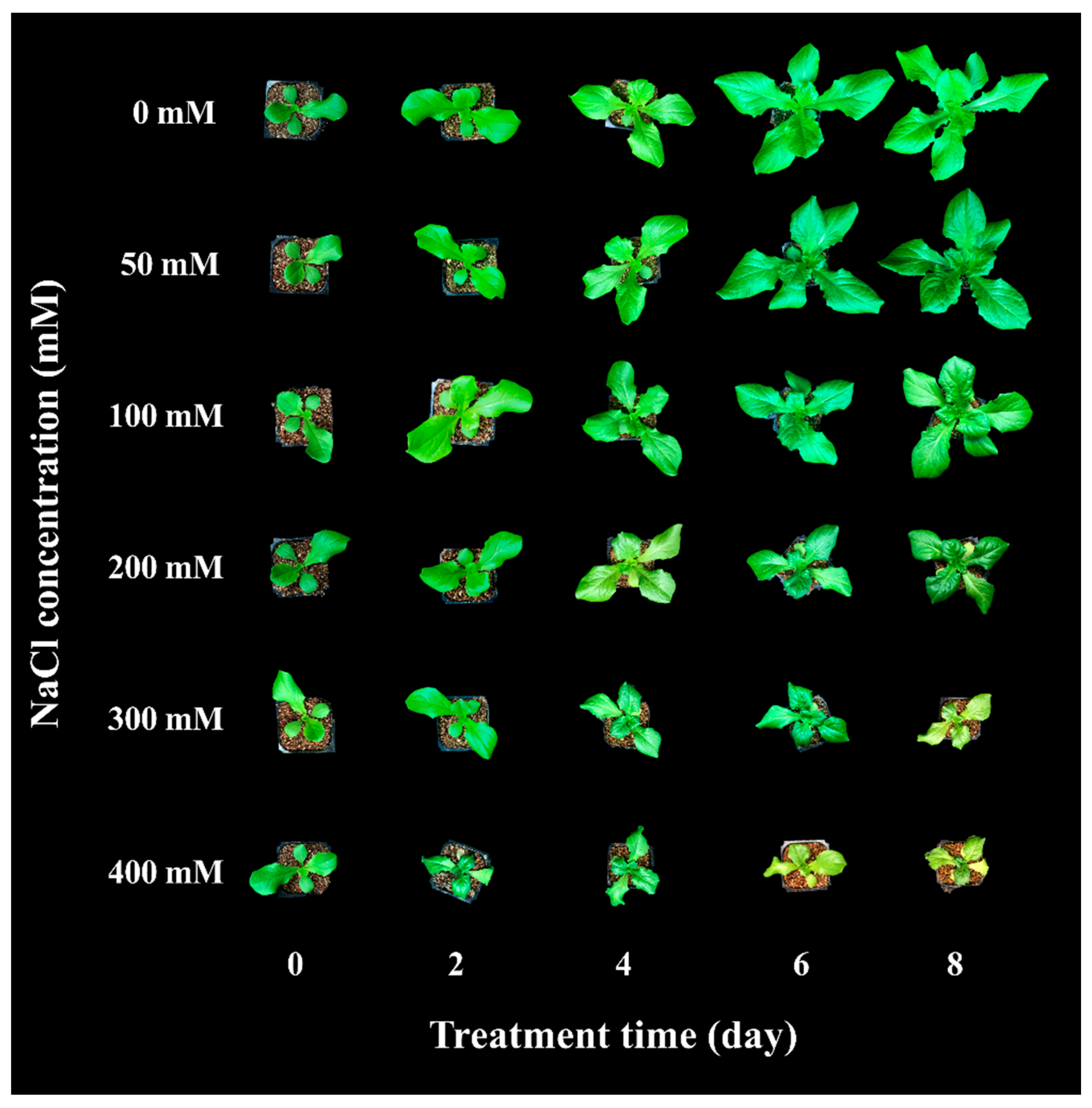 Agronomy 10 01627 g001 Agronomy 10 01627 g001