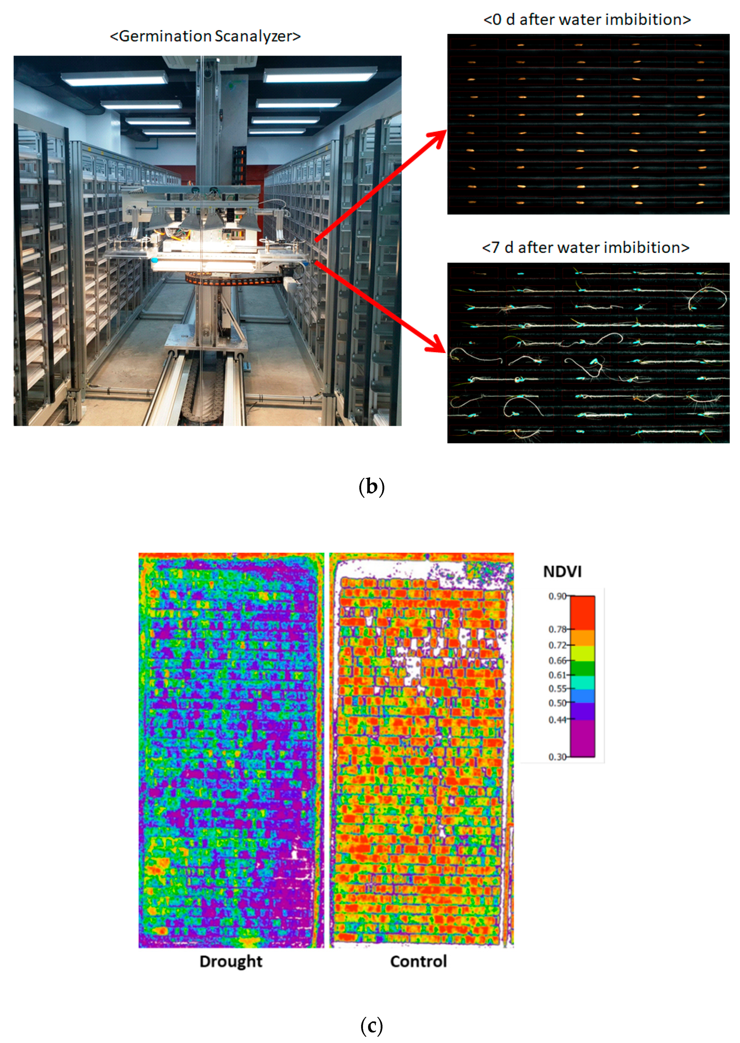 Agronomy 10 01629 g001b