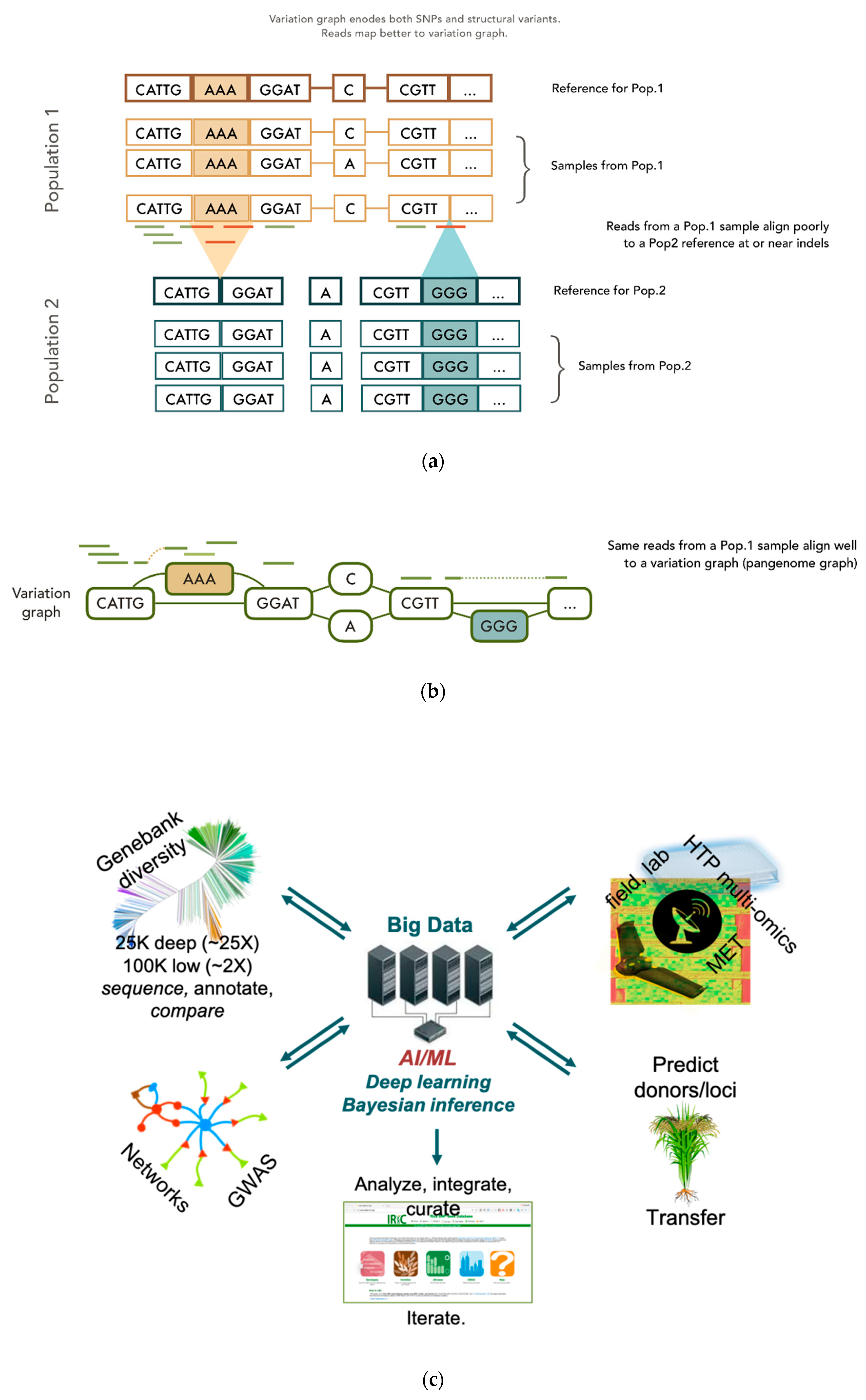 Agronomy 10 01629 g002