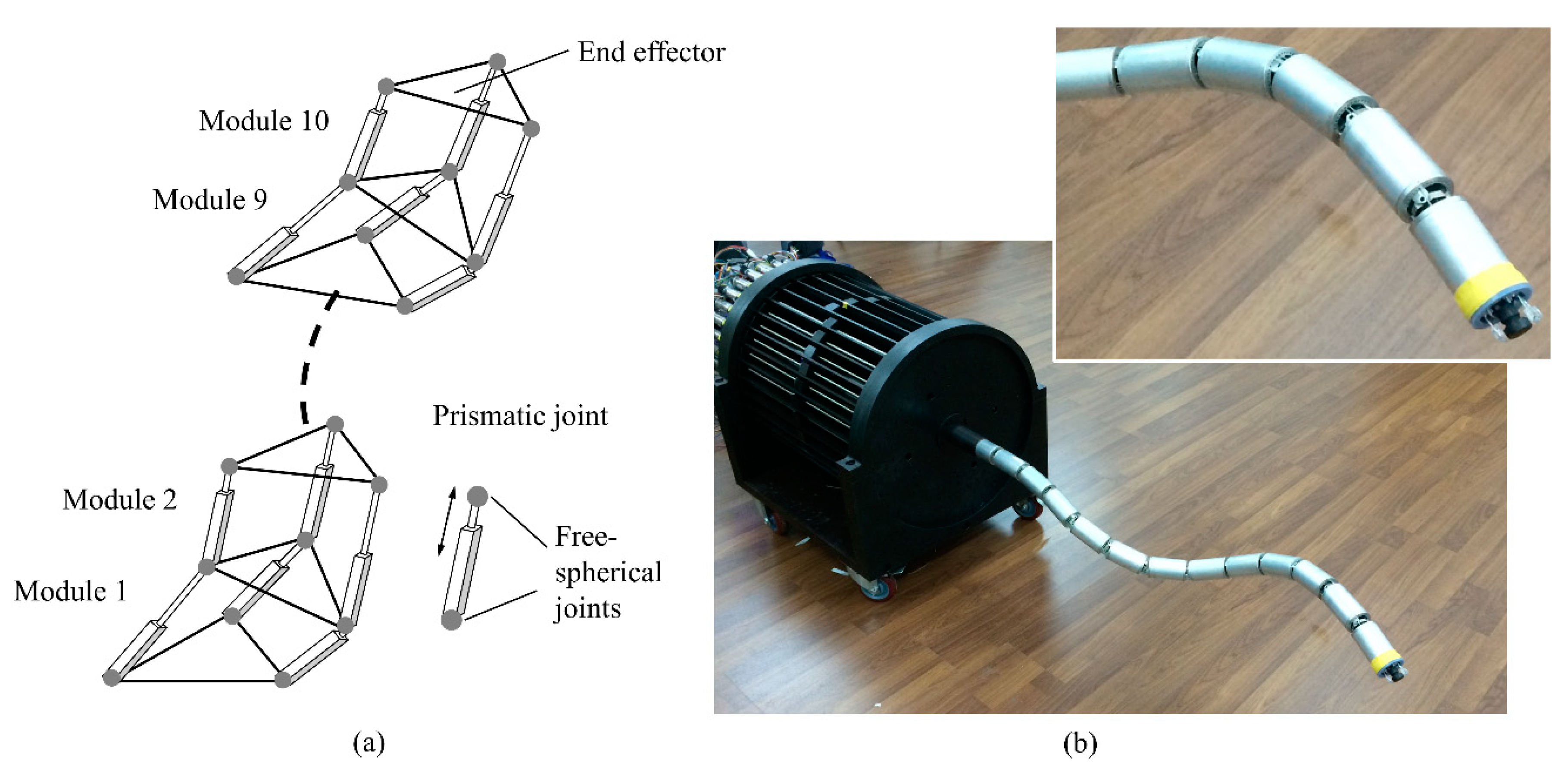 Agronomy 10 01638 g006