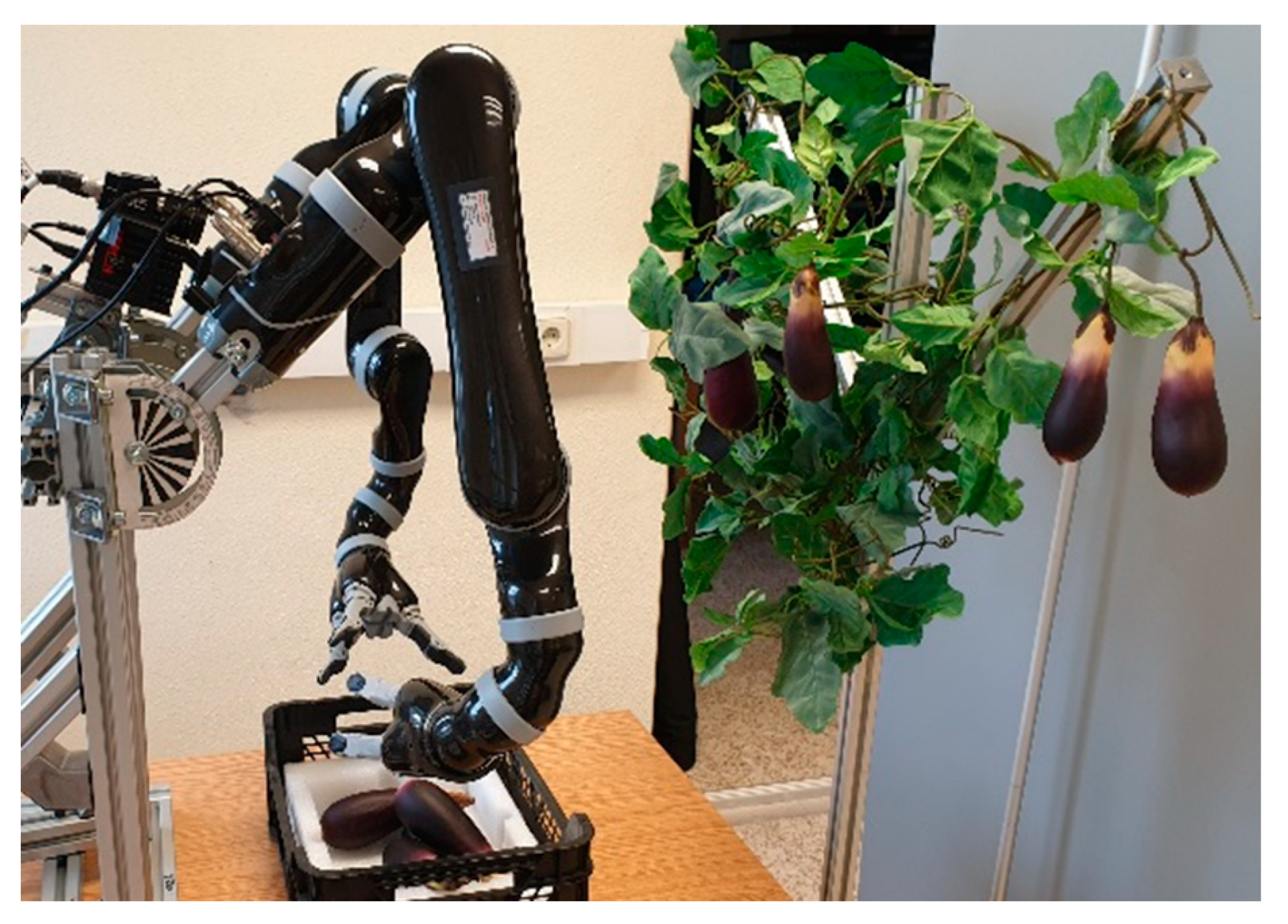 Agronomy 10 01638 g007