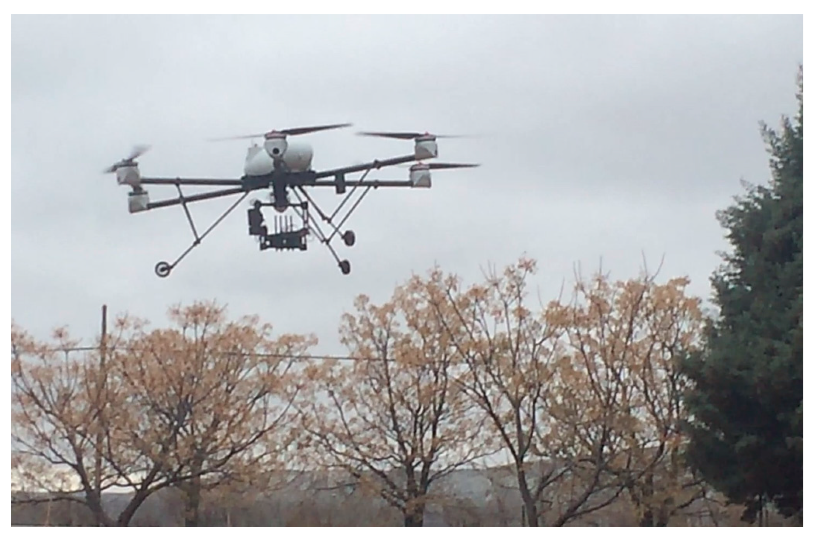 Agronomy 10 01638 g010