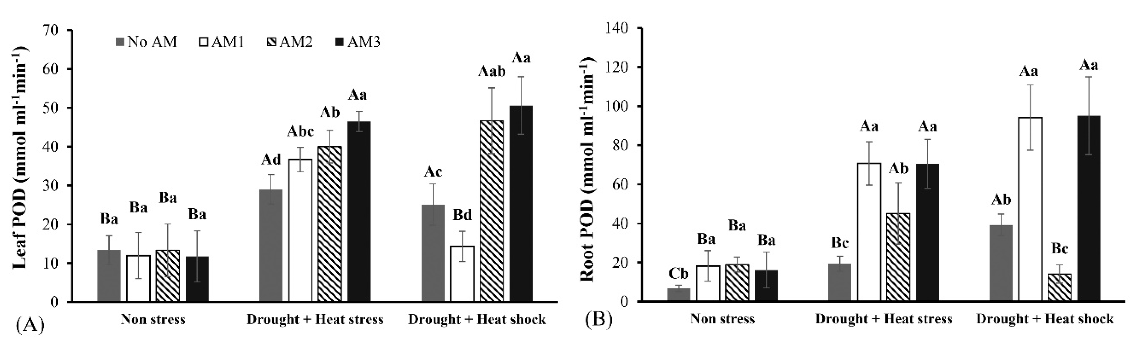 Agronomy 10 01657 g002