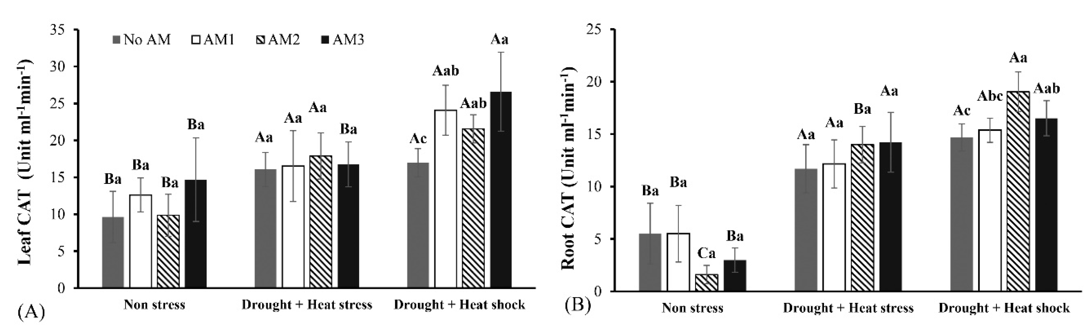 Agronomy 10 01657 g004