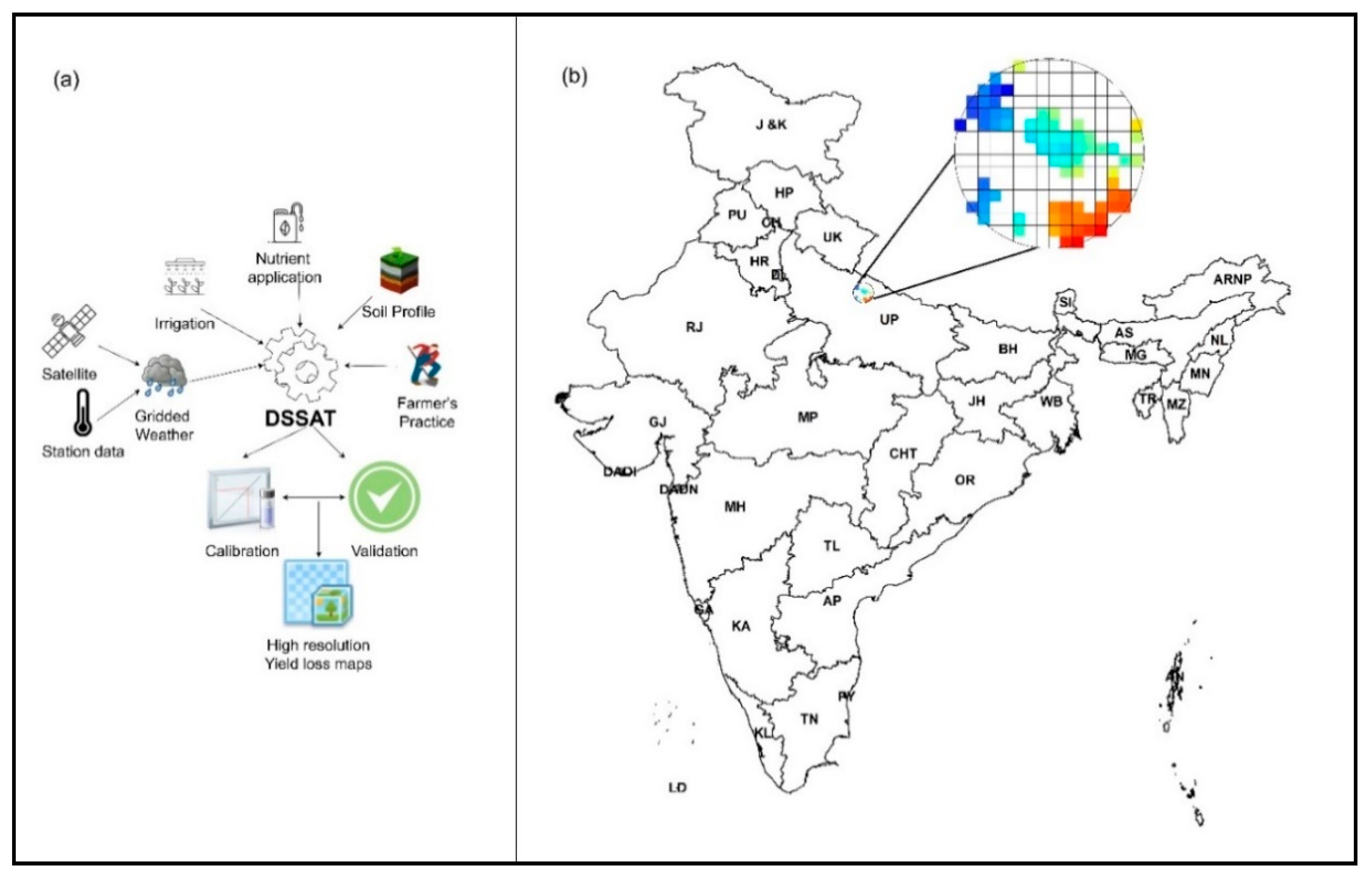 Agronomy 10 01674 g001