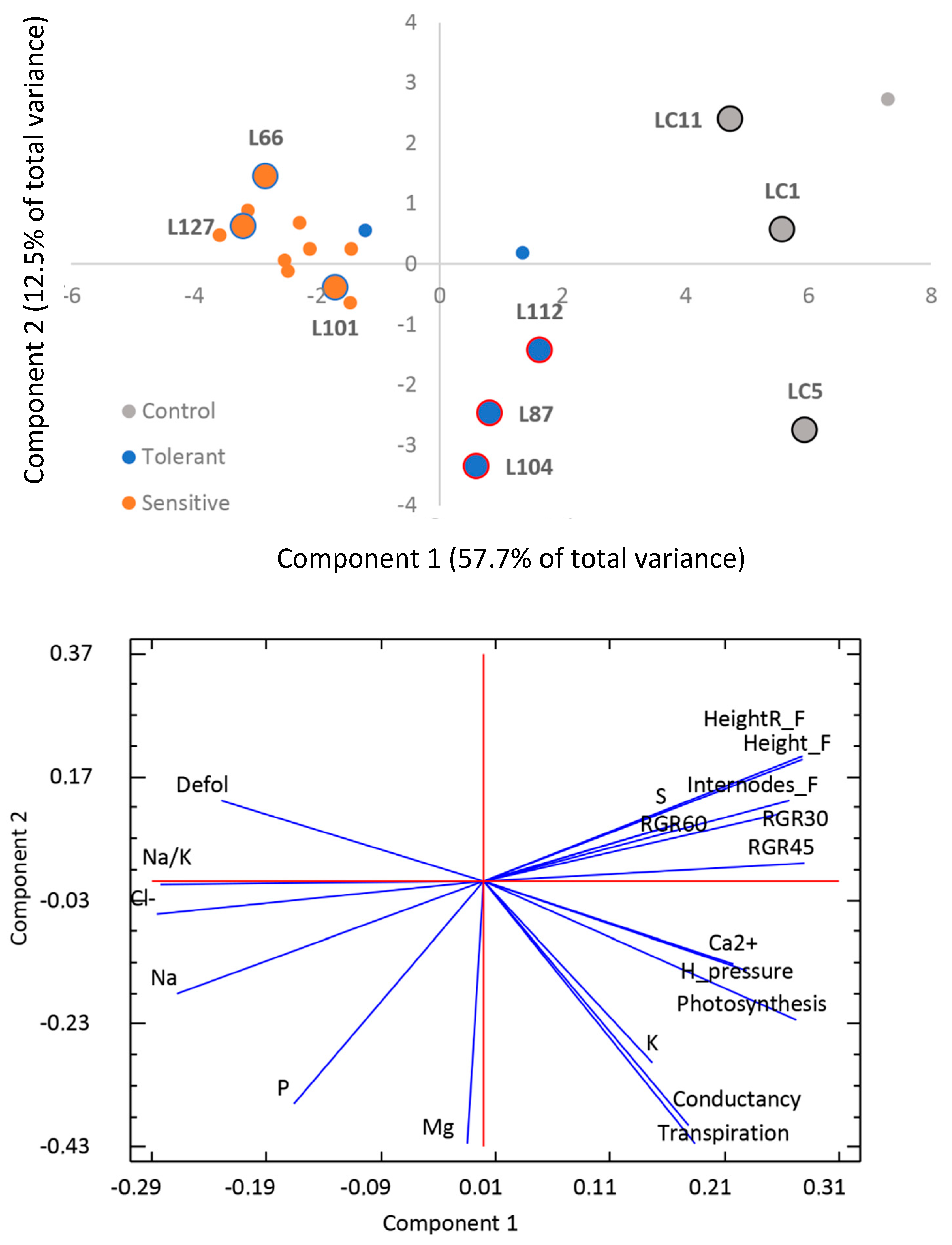 Agronomy 10 01703 g003