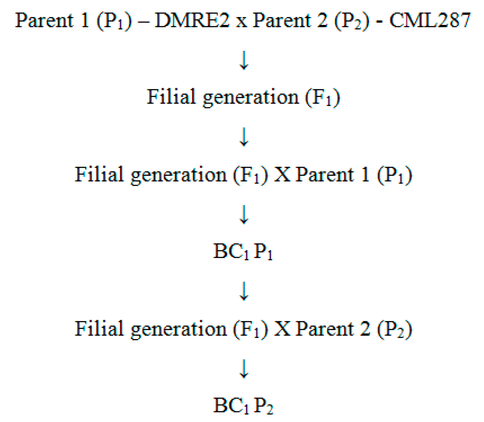Agronomy 10 01705 g003