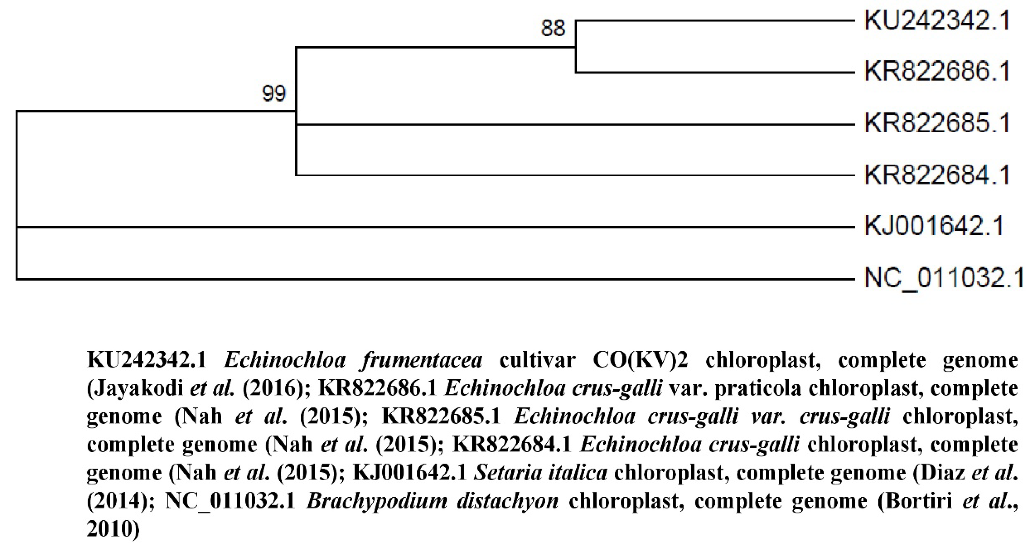 Agronomy 10 01705 g004