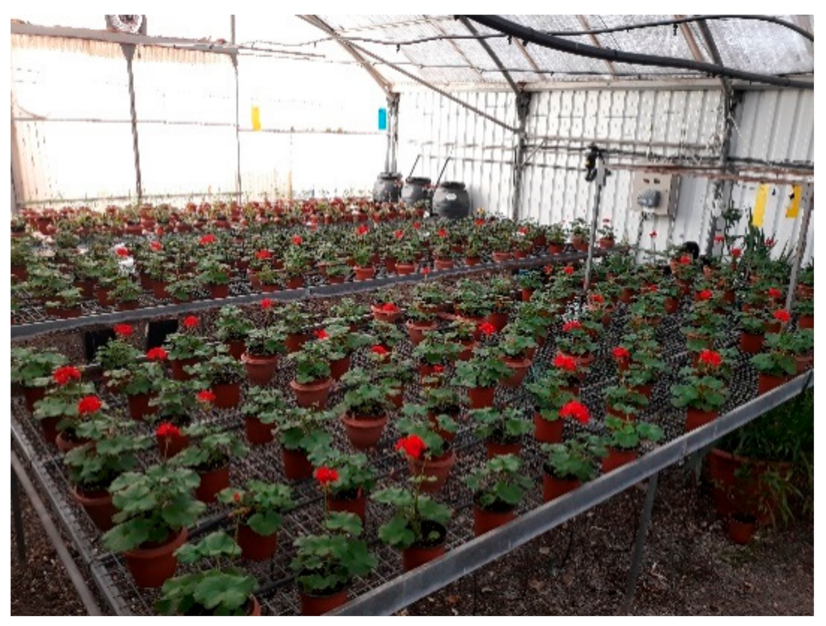Agronomy 10 01713 g002 Agronomy 10 01713 g002